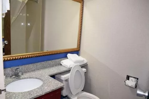 Shower in Baymont by Wyndham Michigan City