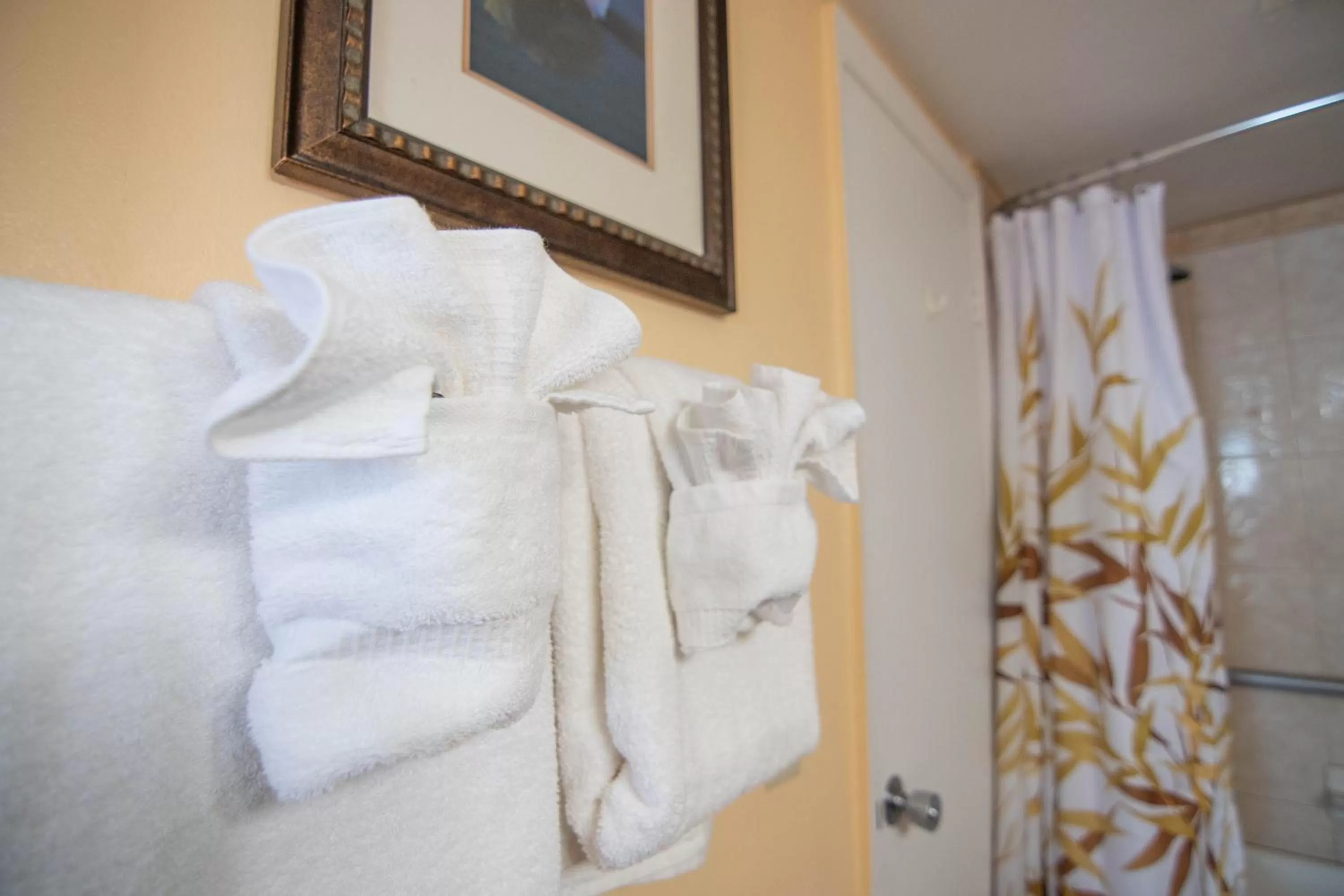 Bed in Palm Beach Waterfront Condos - Full Kitchens!