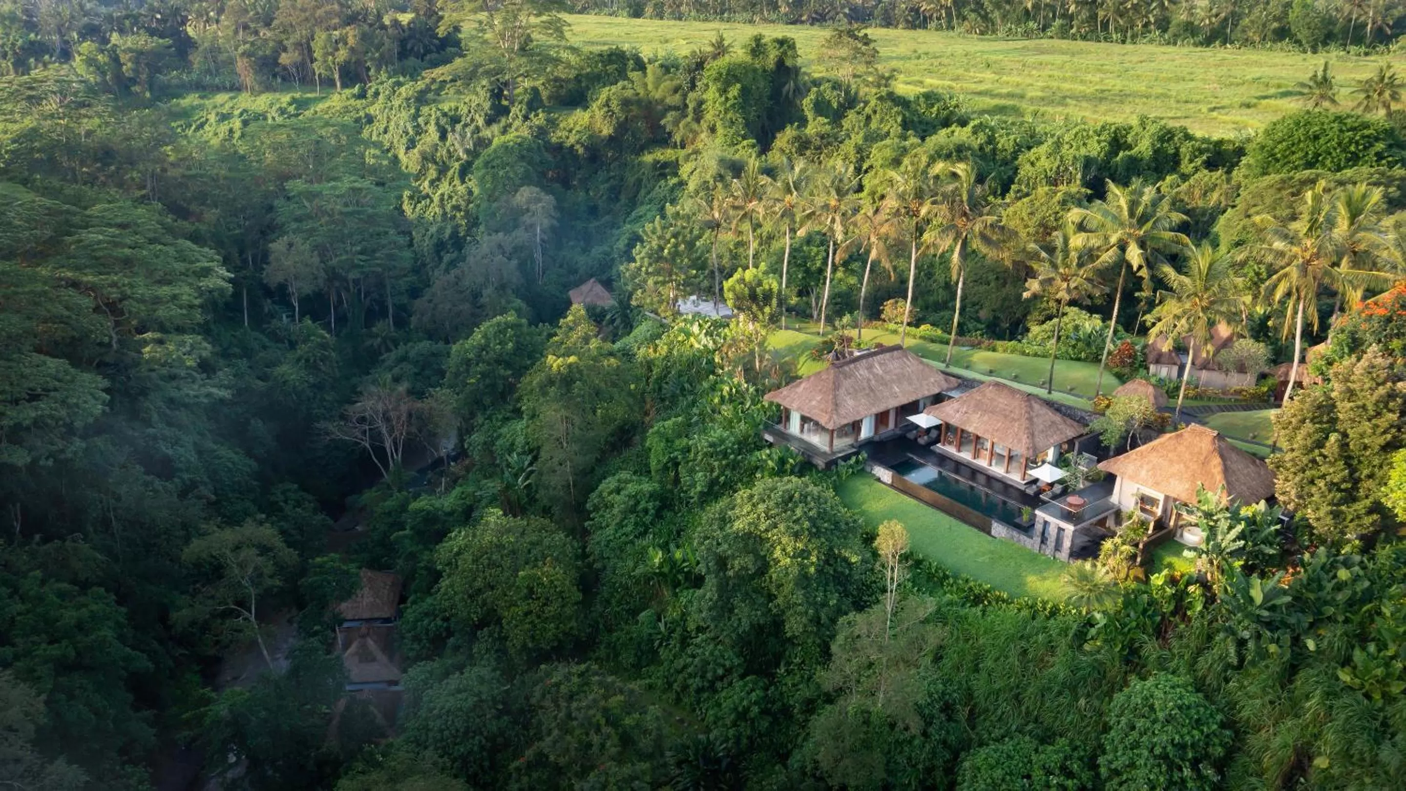 Bird's eye view in Maya Ubud Resort & Spa