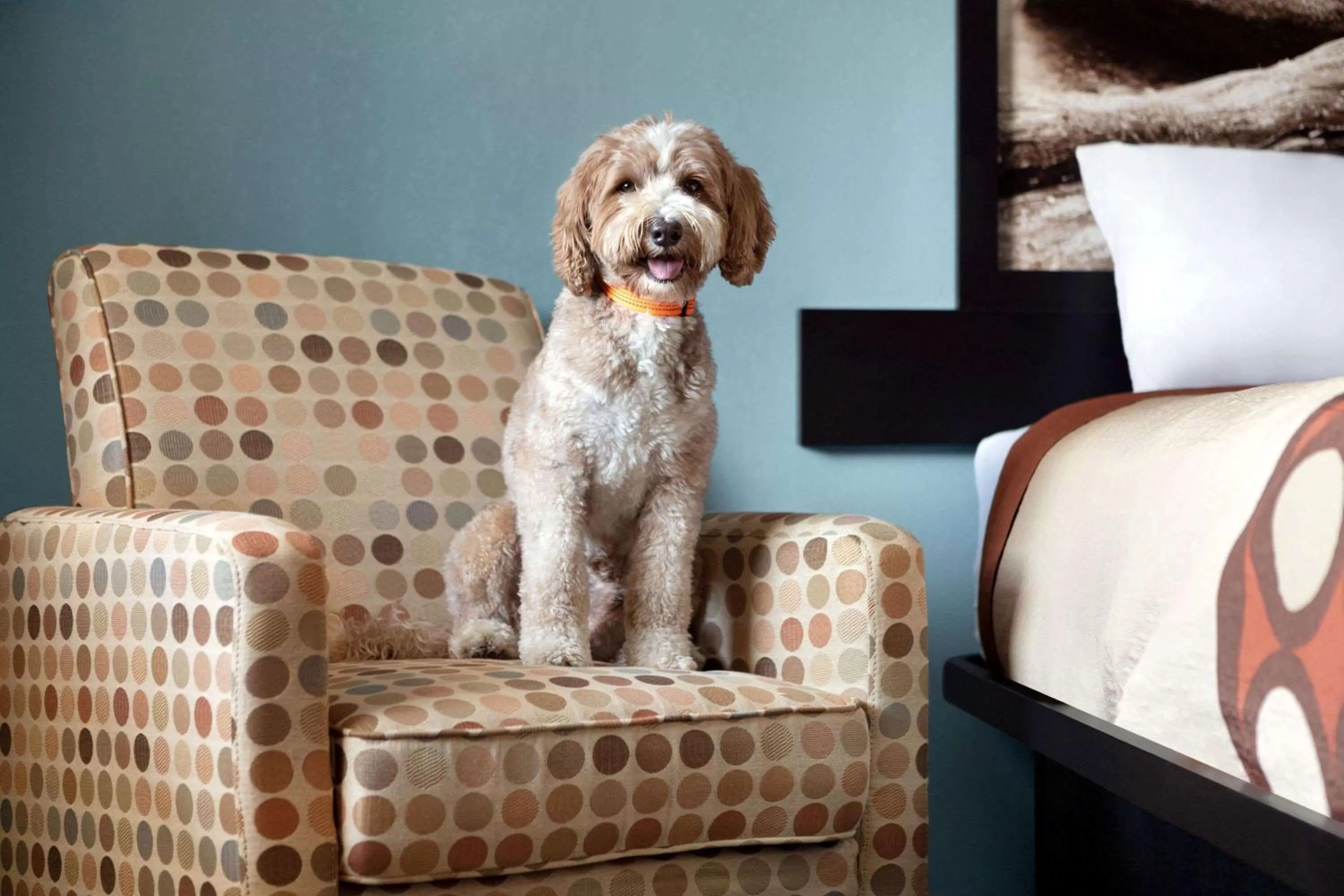 On site in Super 8 by Wyndham Whites Creek/ Nashville NW Area