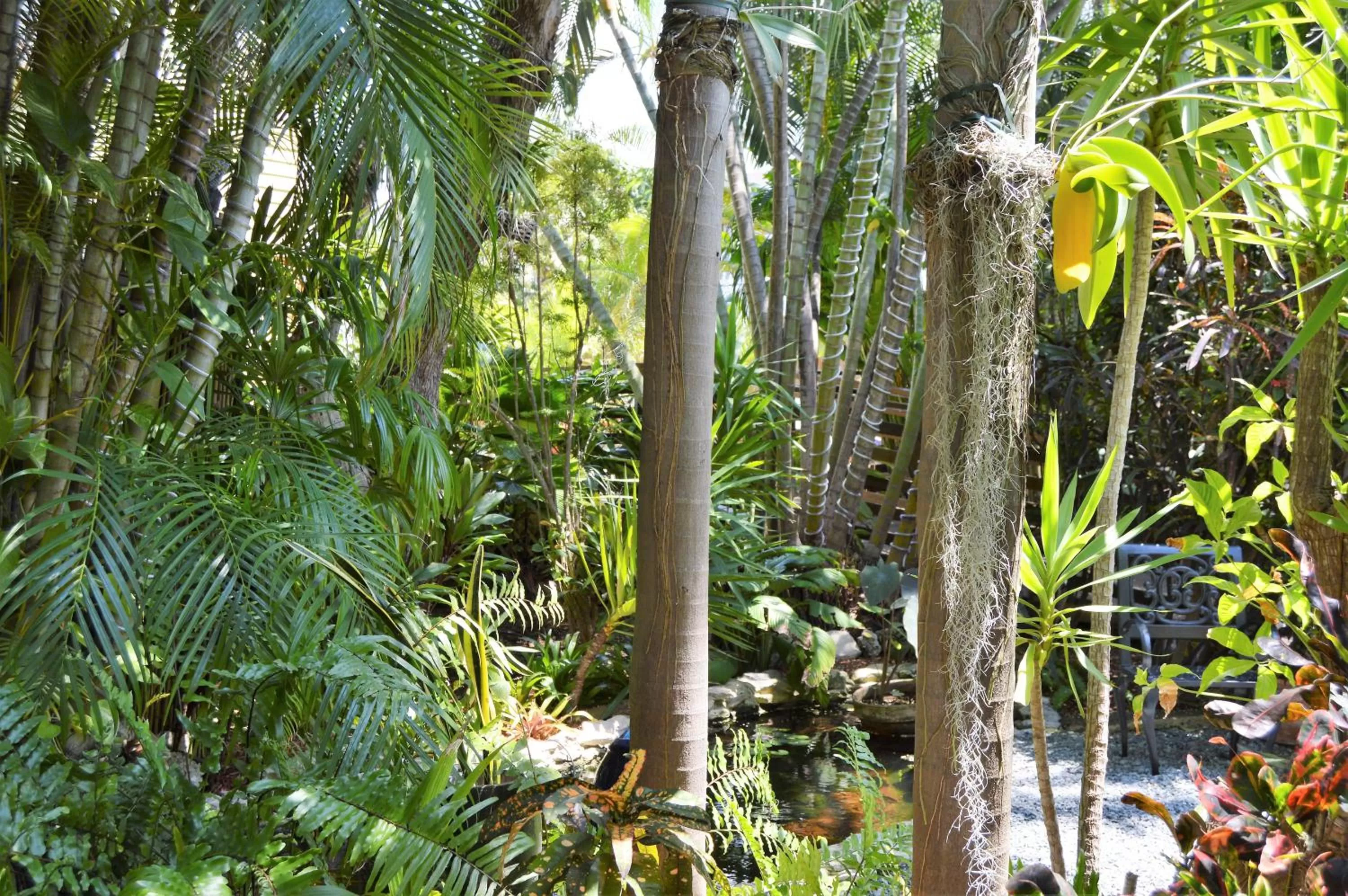 Garden in Douglas House