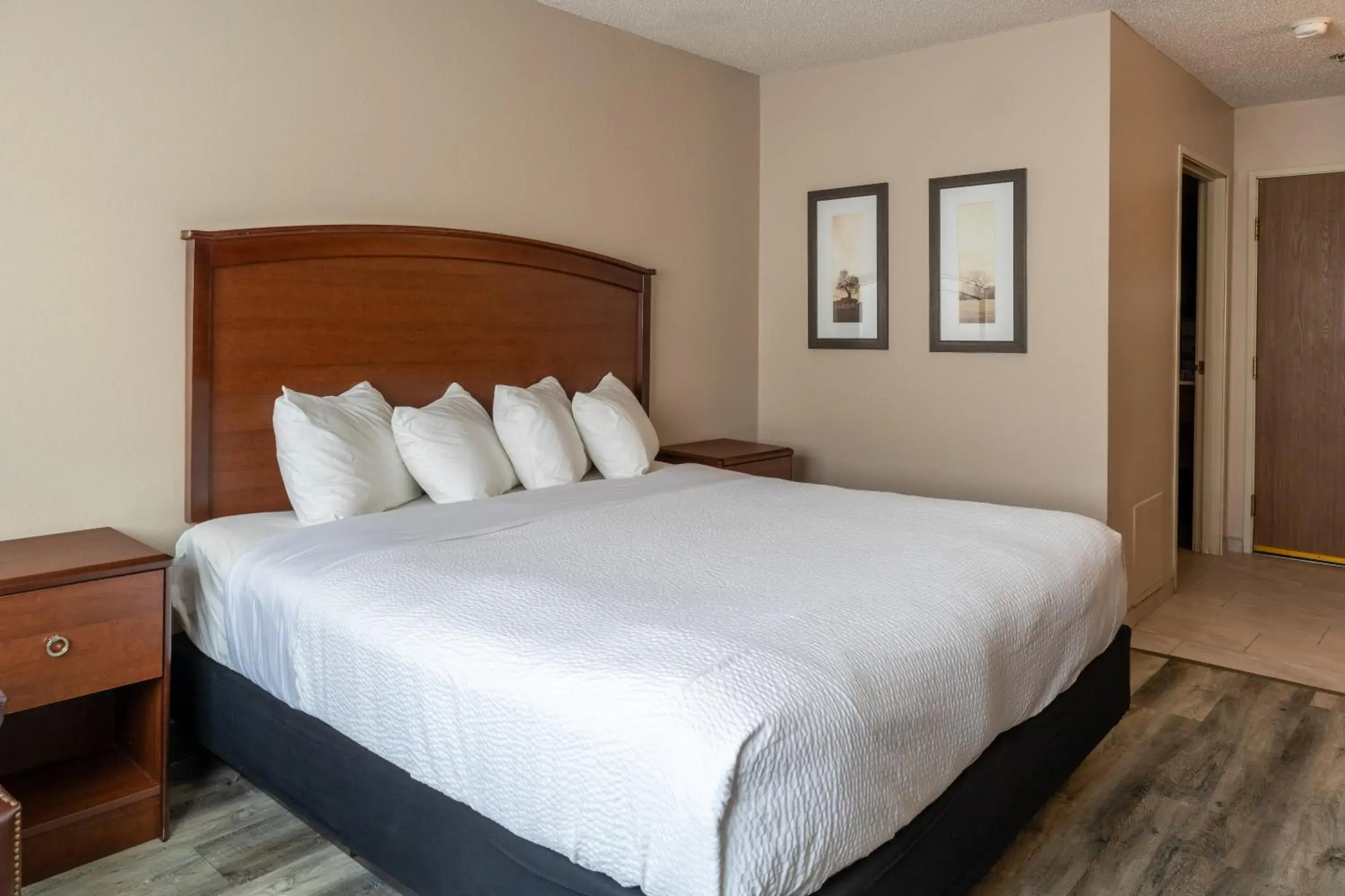 Single Queen Room with Sofa bed - Disability Access in Norland Inn & Suites Roseau Single Queen Room with Sofa bed - Disability Access in Norland Inn & Suites Roseau