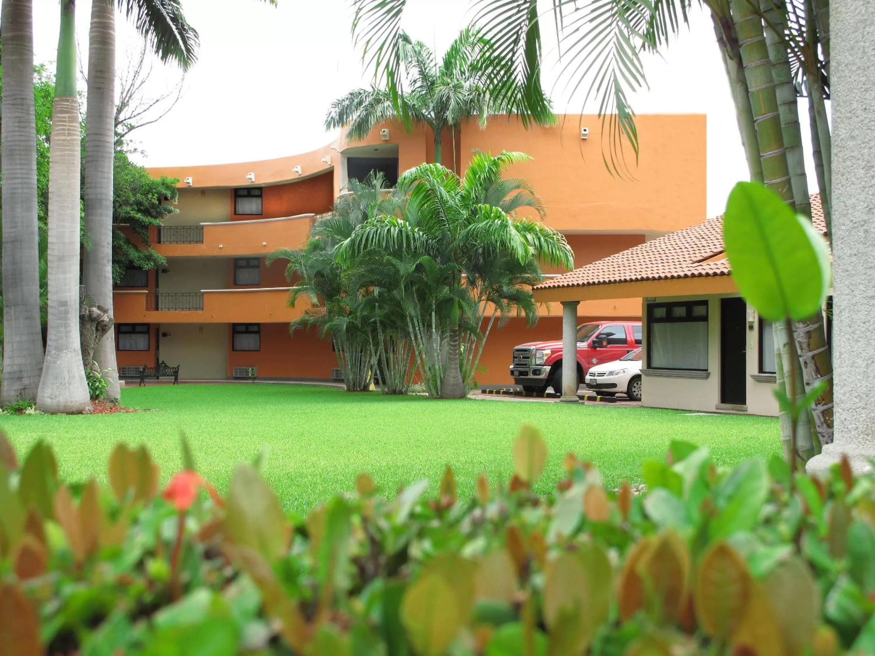 Garden in Hotel Palmareca