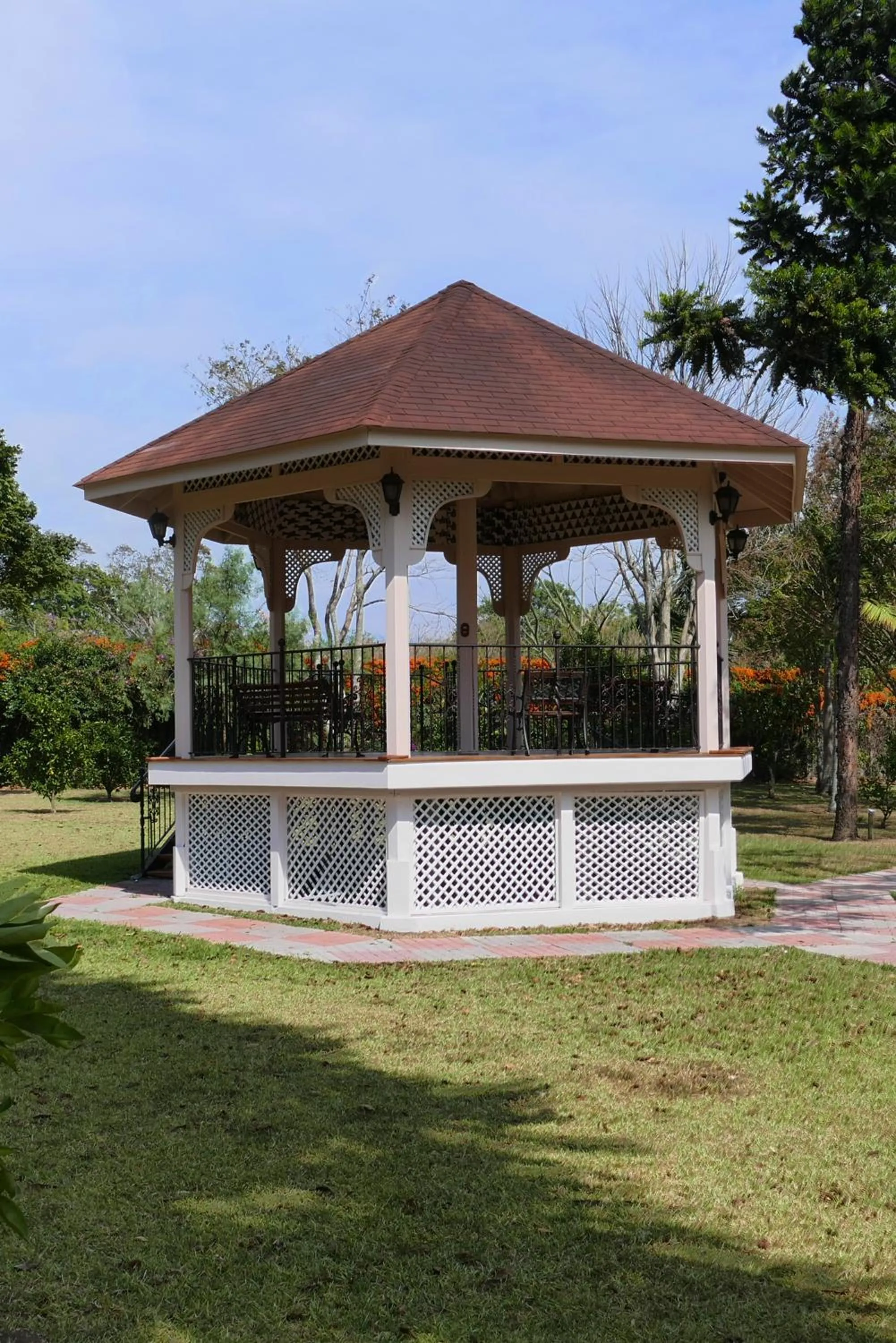 Garden in Hotel Bougainvillea San José