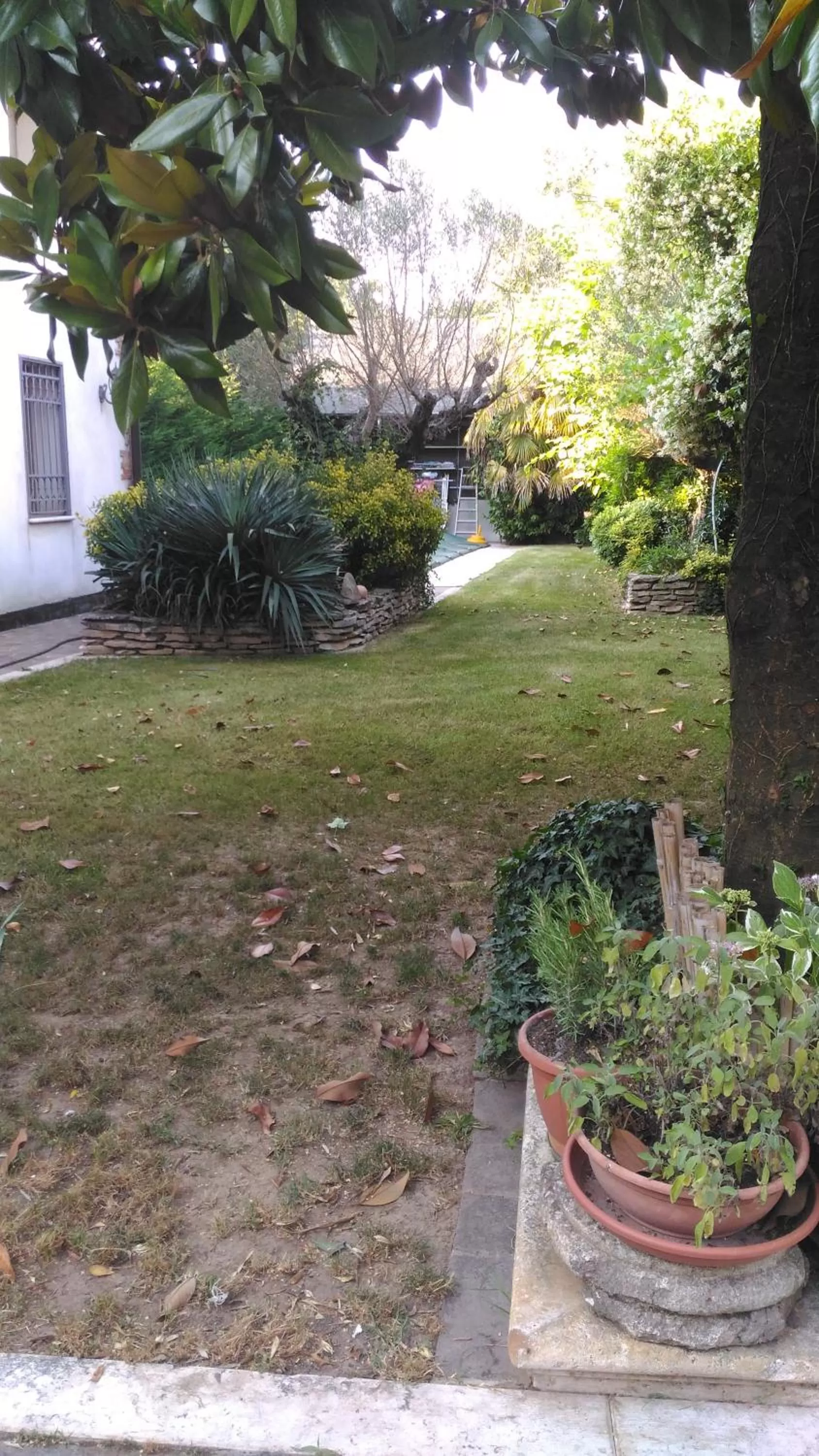 View (from property/room) in Casa Stefy