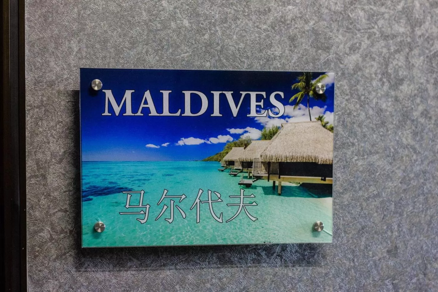 Photo of the whole room in USM Designer Dwell