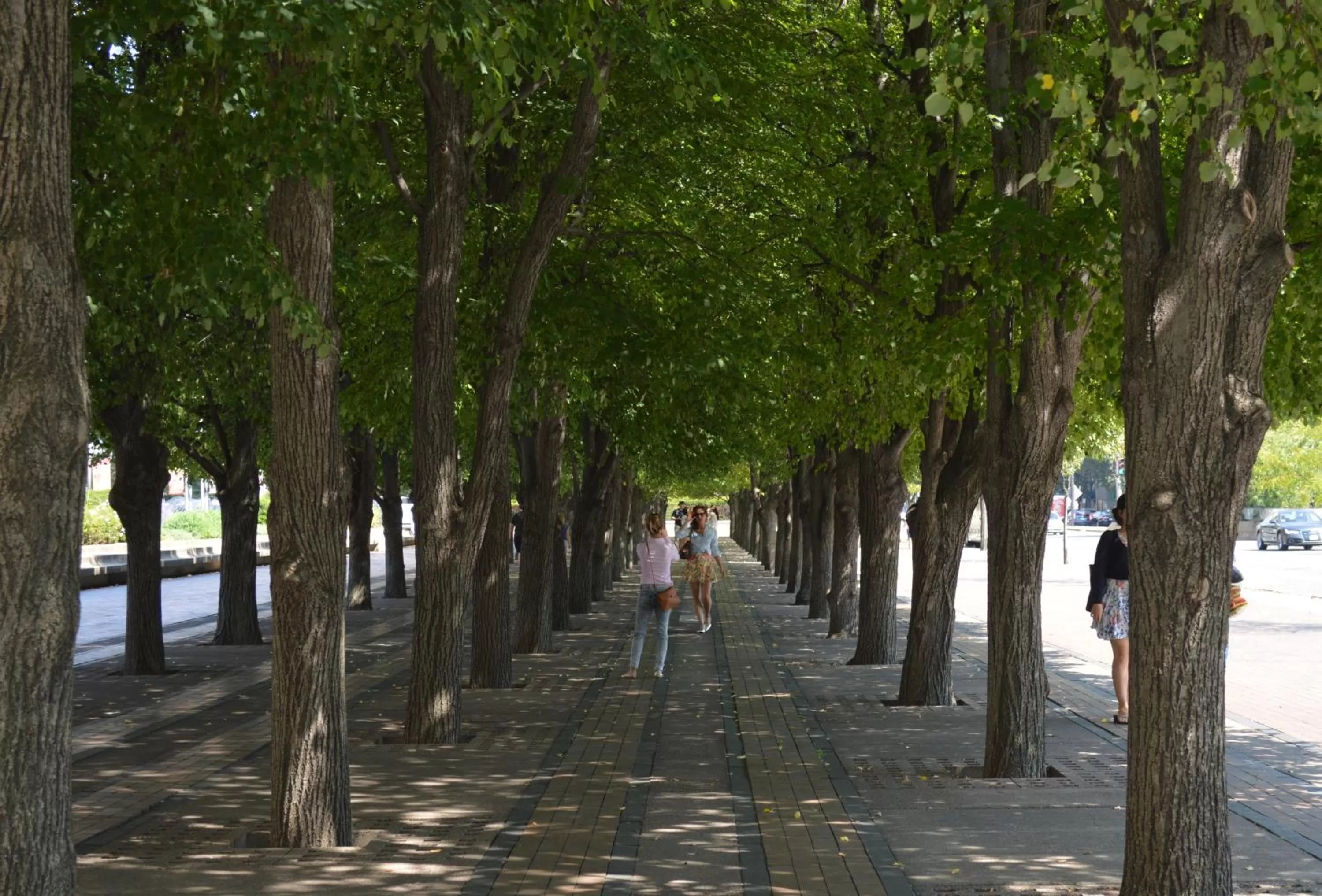 Neighbourhood in Copley House