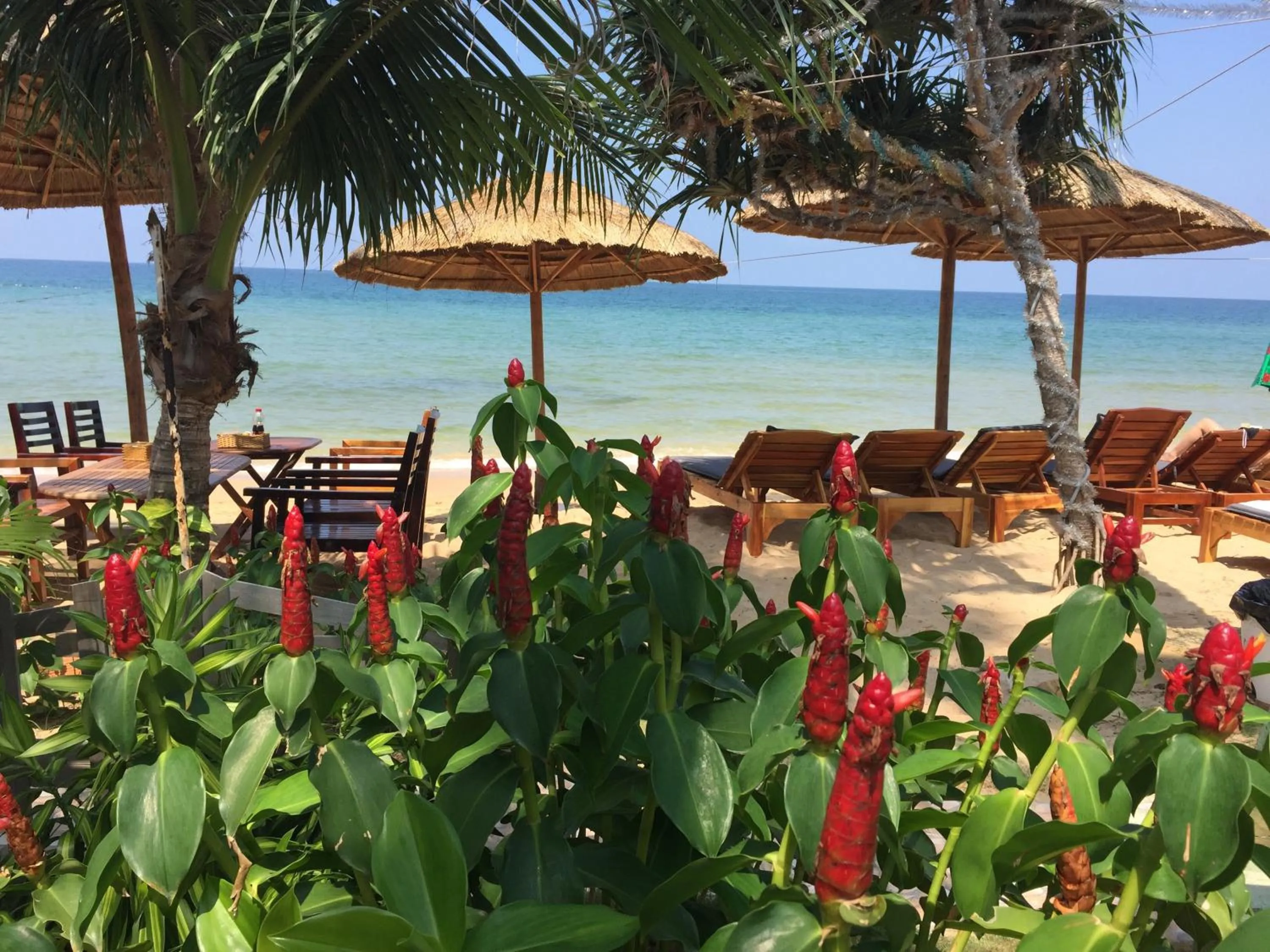 Day in Phuong Binh House