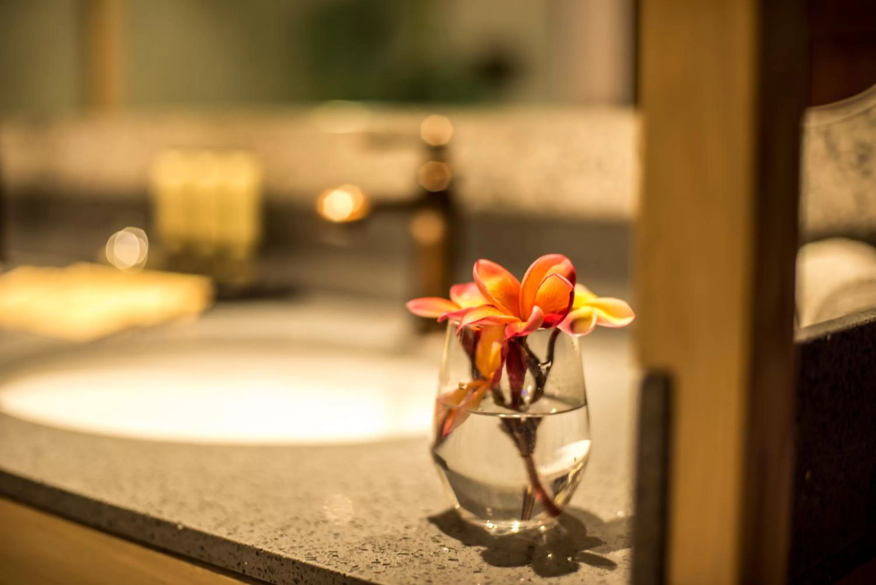 Text overlay in Tien Terrace Macalister