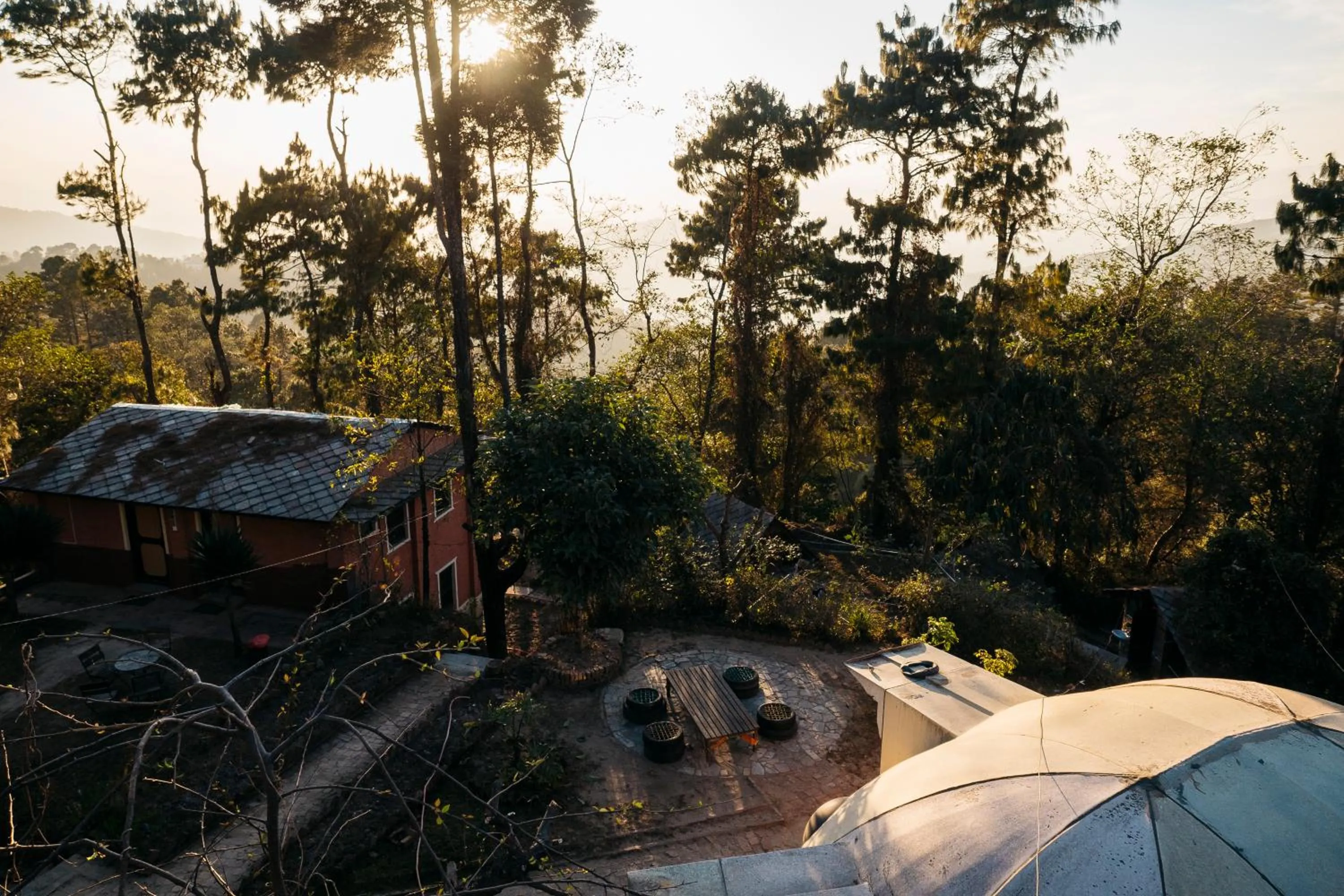 Garden in Hotel At The End Of The Universe