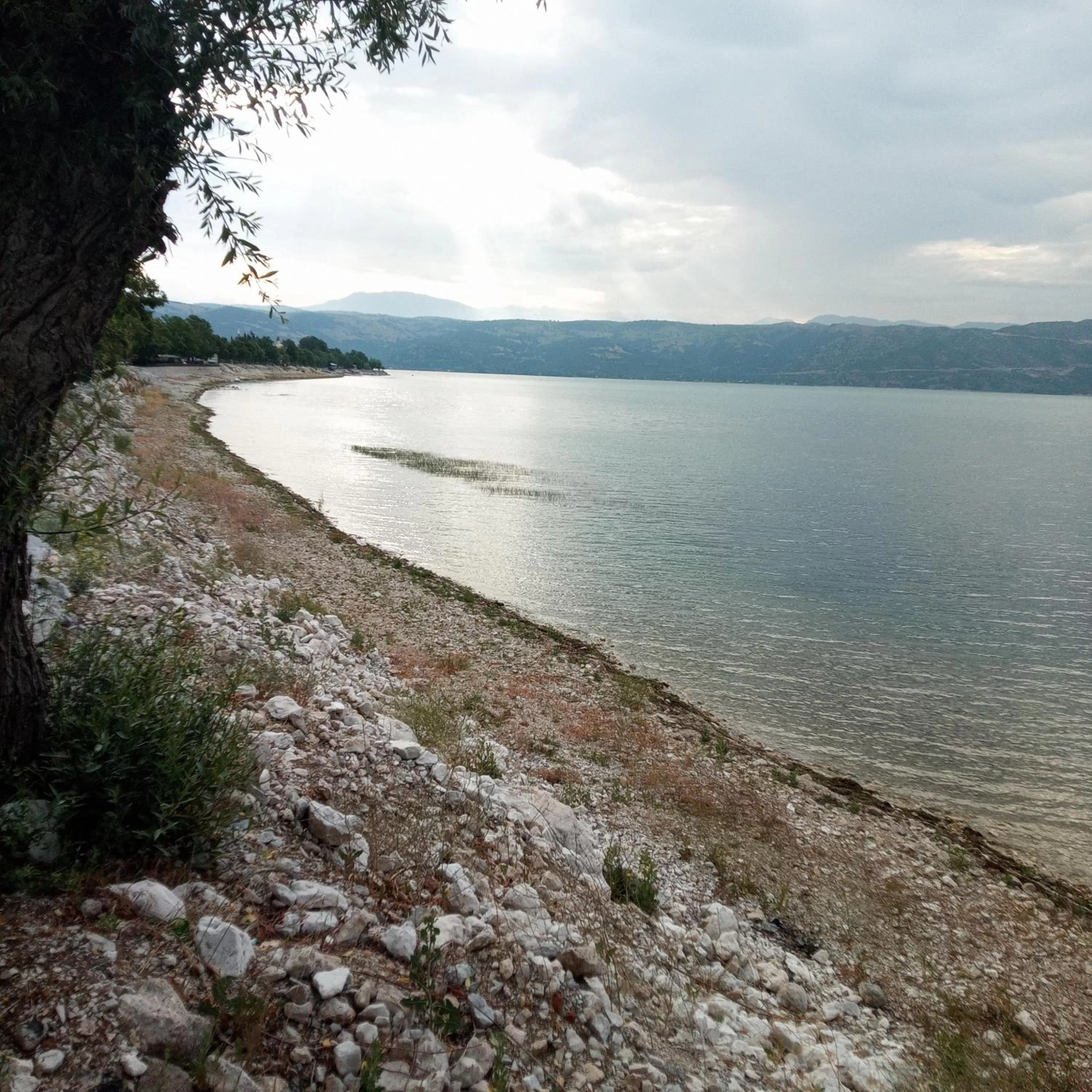 Ali's Pension ada alis