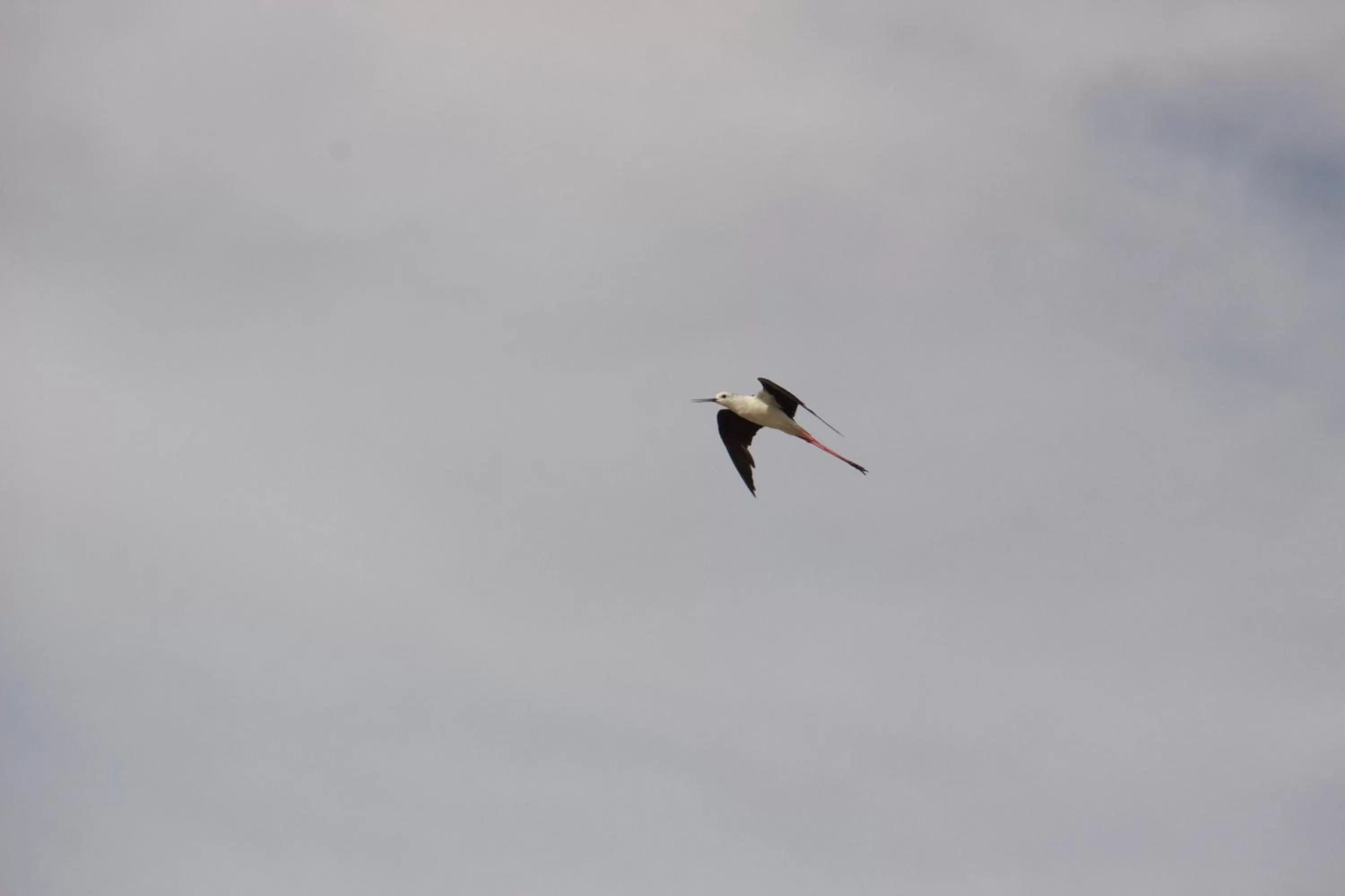 Off site in La Charentine