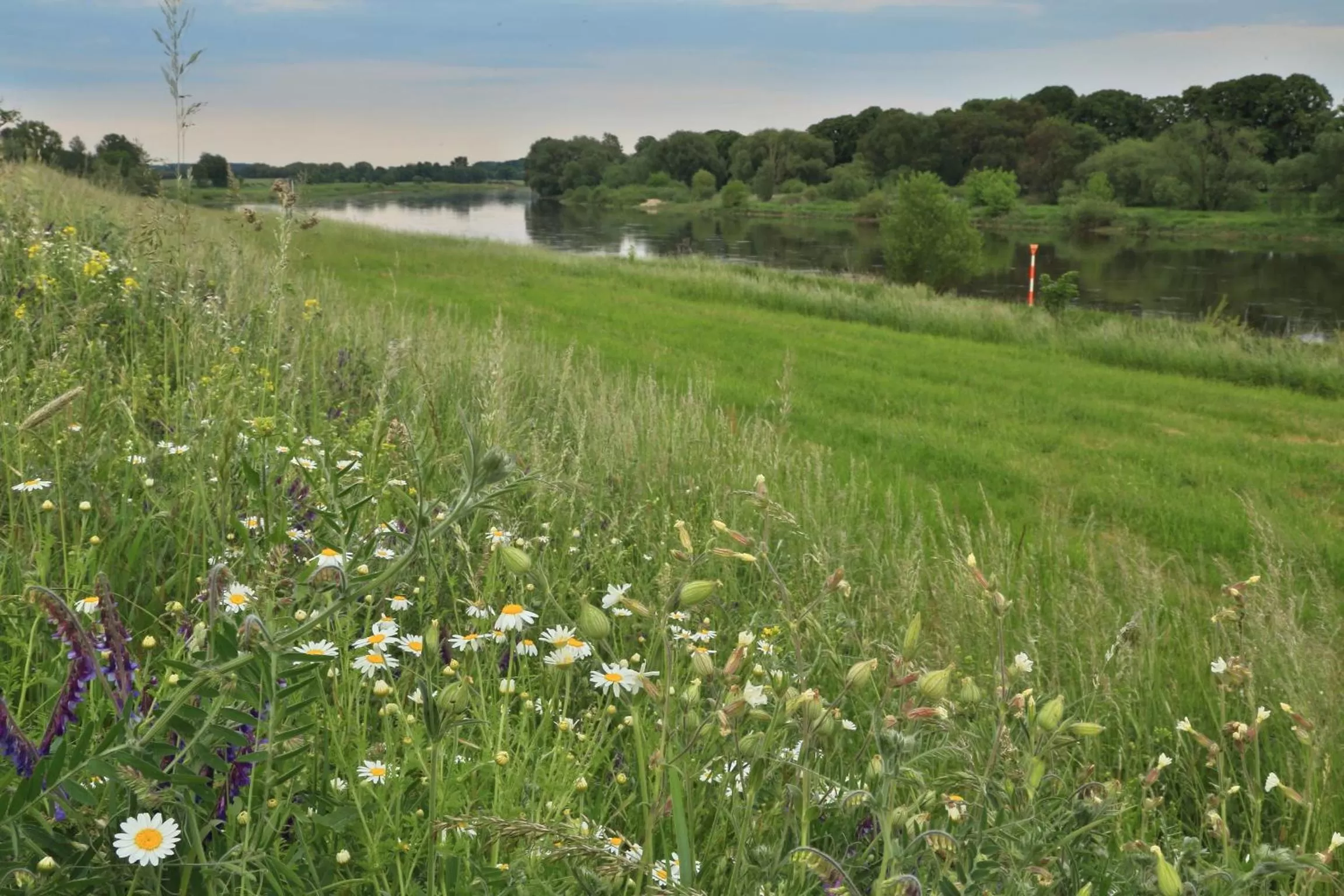 Natural landscape in Hotel Moritz an der Elbe