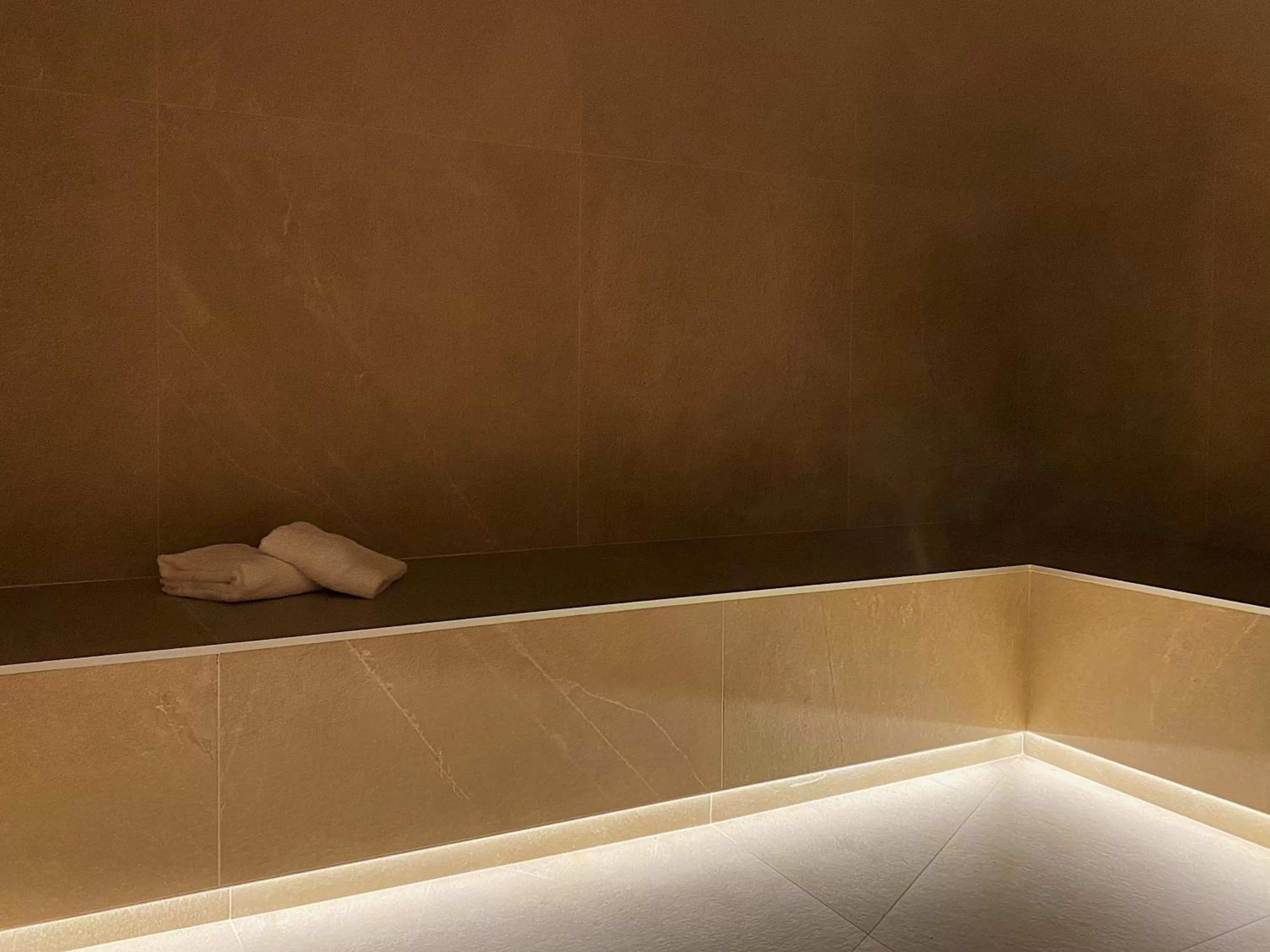 Steam room in Hôtel Esté