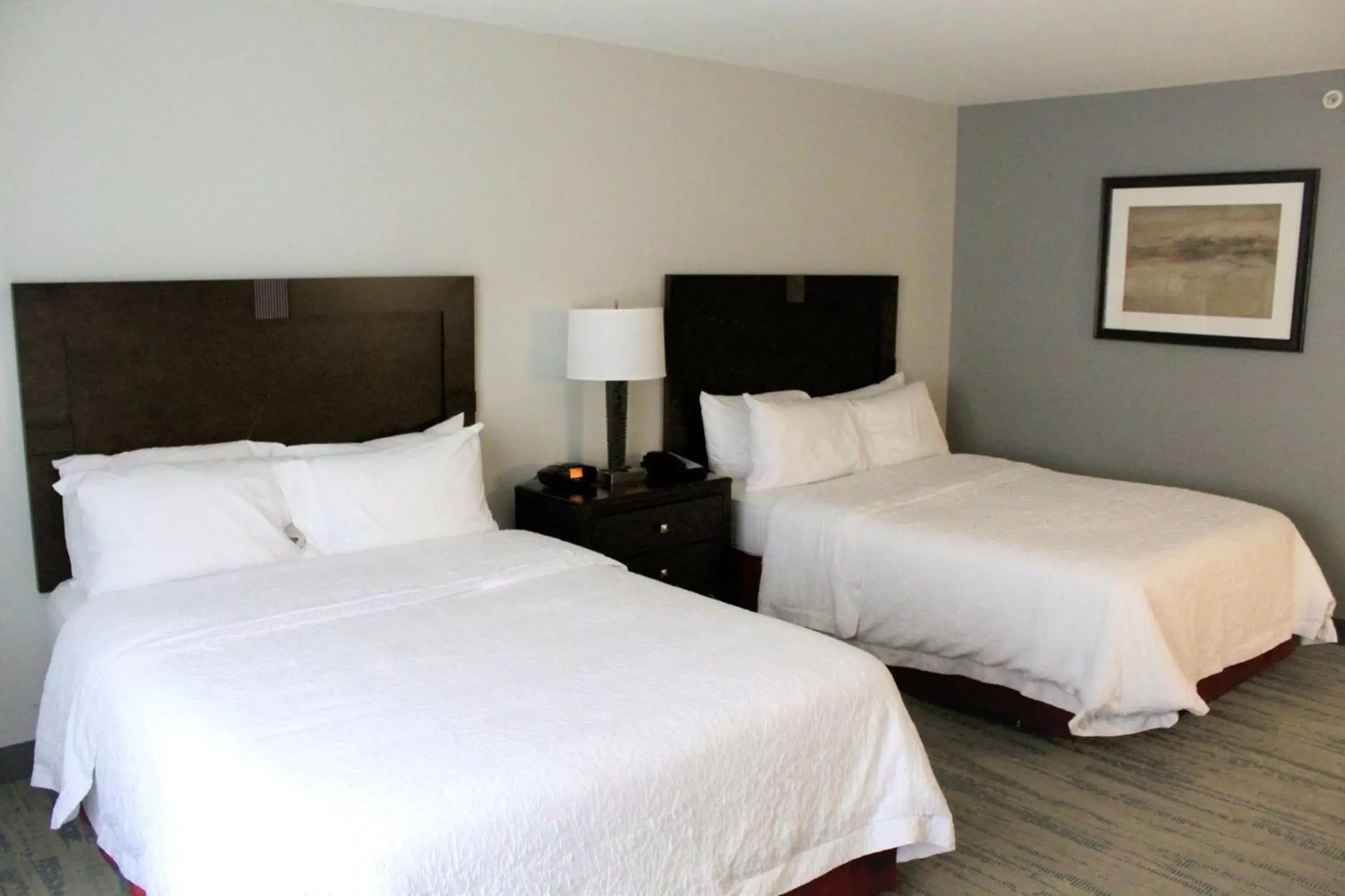Queen Room with Two Queen Beds - single occupancy - Mobility Access/Non-Smoking in Hampton Inn Indianapolis NW/Zionsville Queen Room with Two Queen Beds - single occupancy - Mobility Access/Non-Smoking in Hampton Inn Indianapolis NW/Zionsville