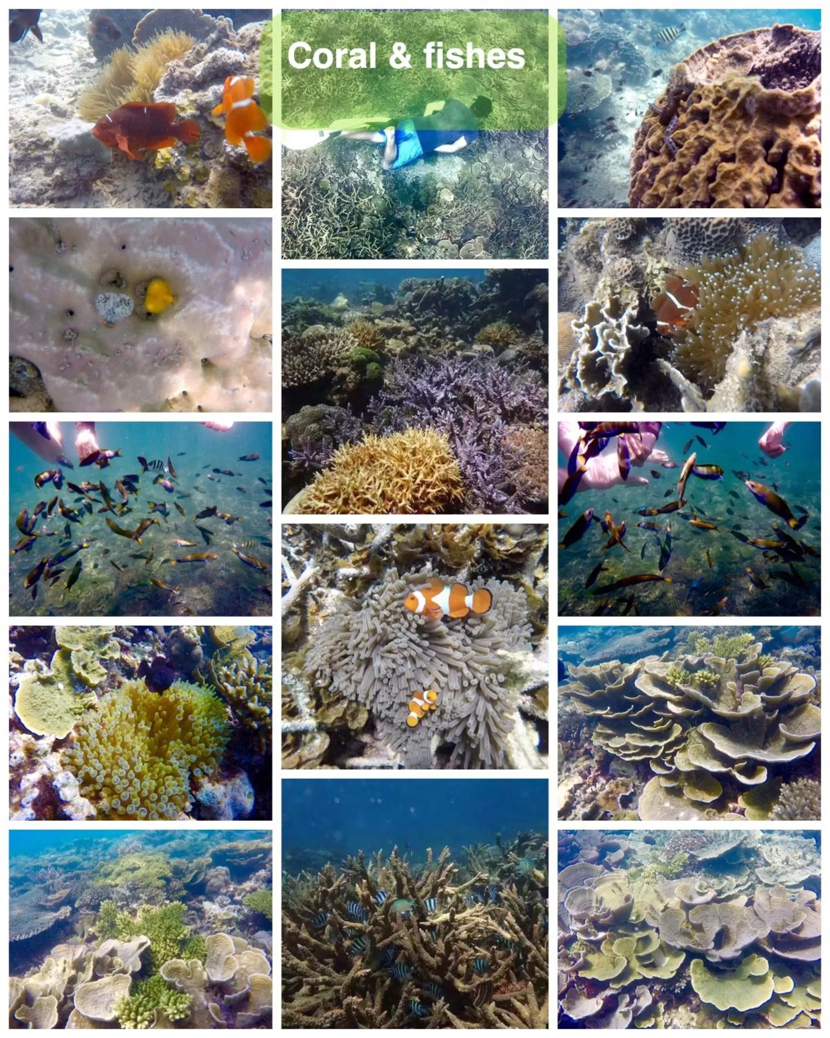 Dragon Pearl Beach Resort