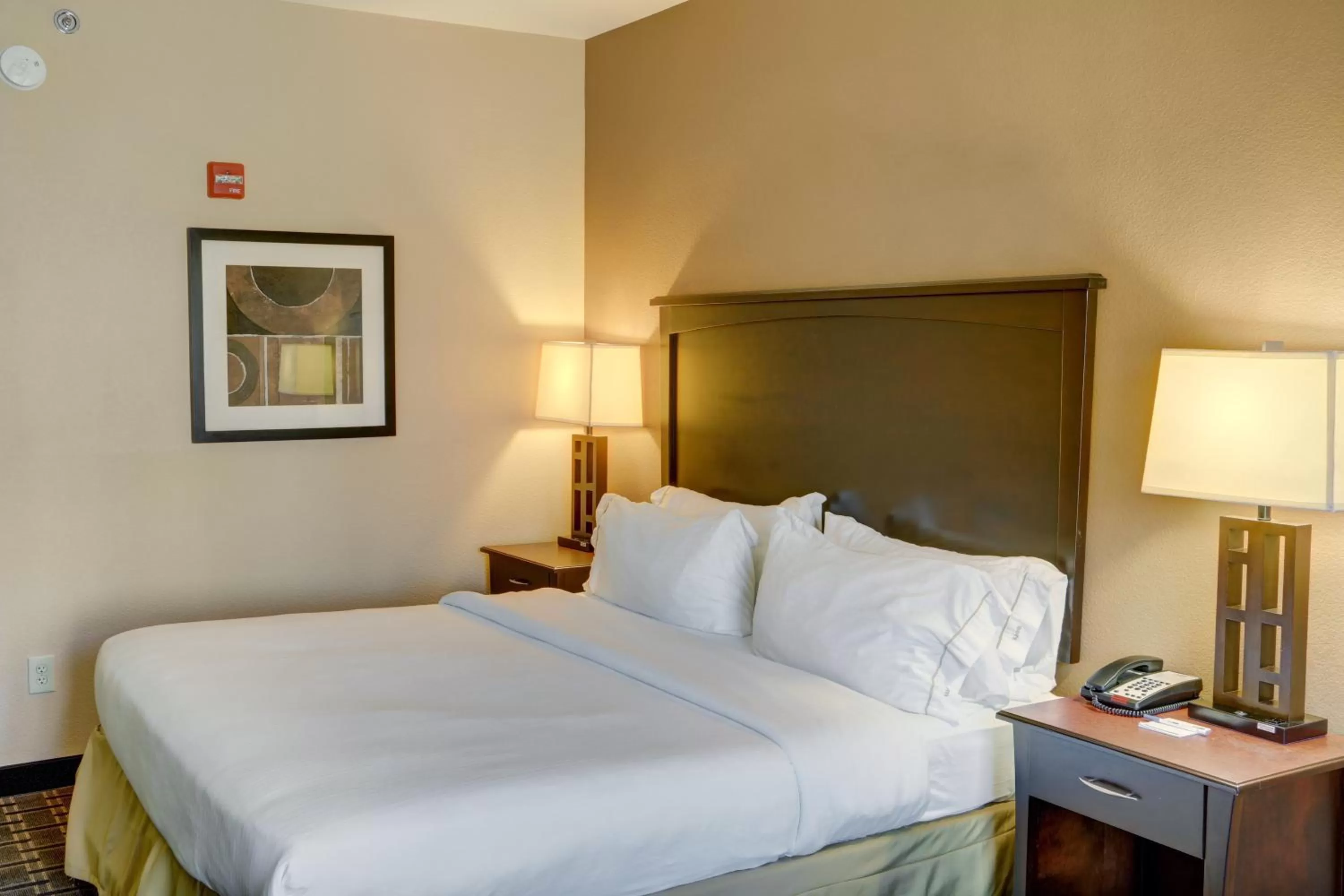 Bedroom, Bed in Holiday Inn Express Hotel & Suites Texarkana East by IHG
