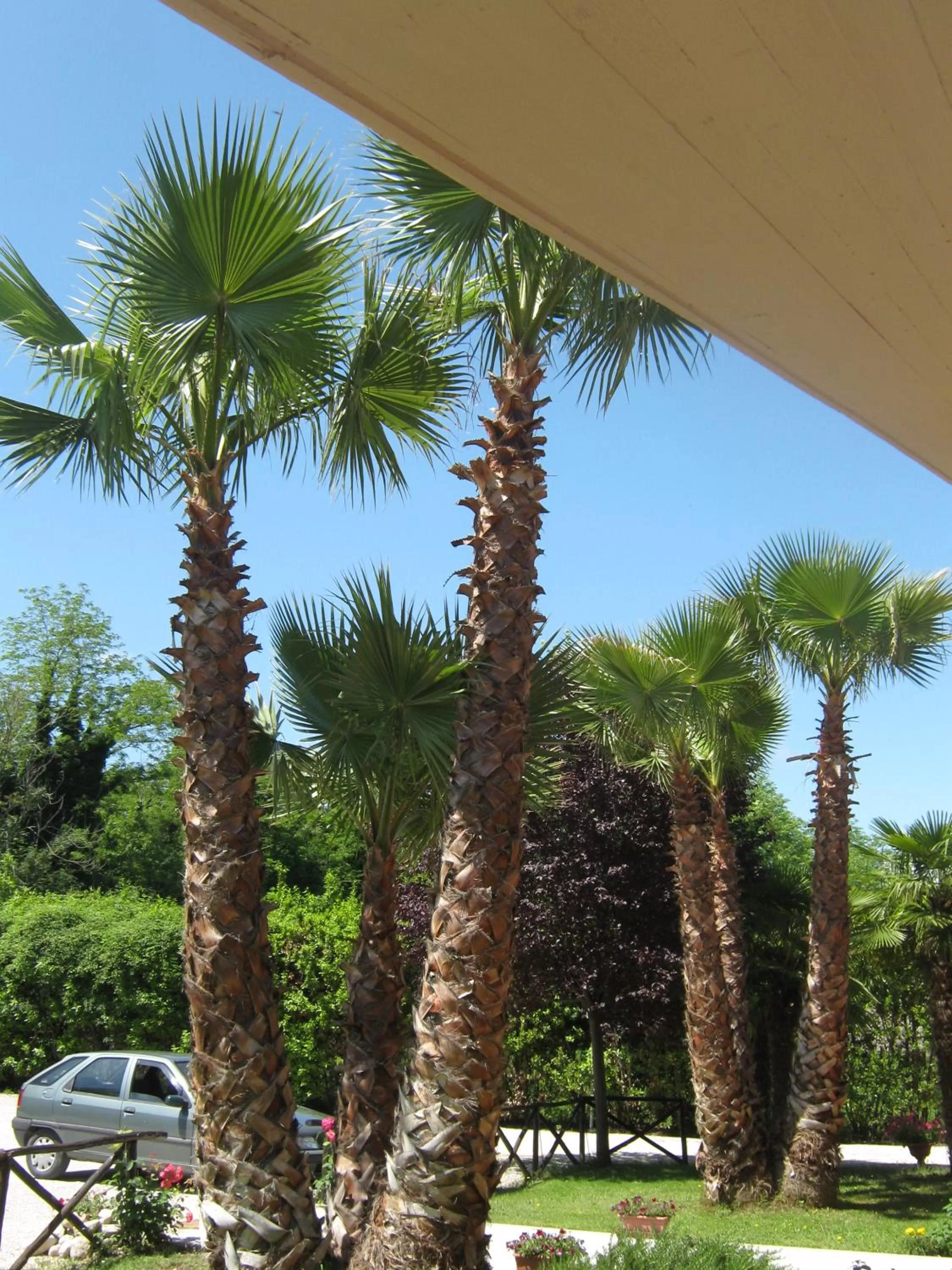 Decorative detail in B & B OASI