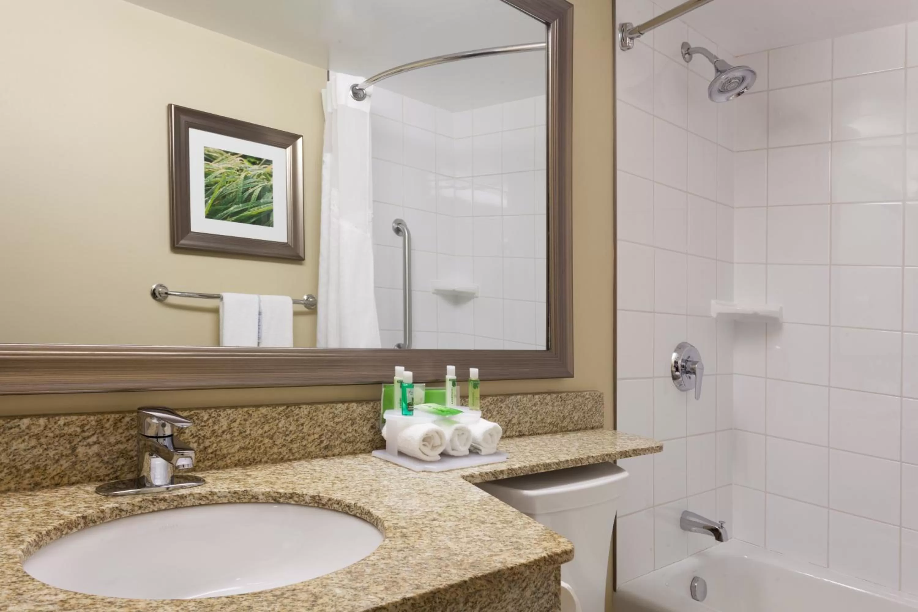 Bathroom in Holiday Inn Express Hotel & Suites Uptown Fredericton by IHG
