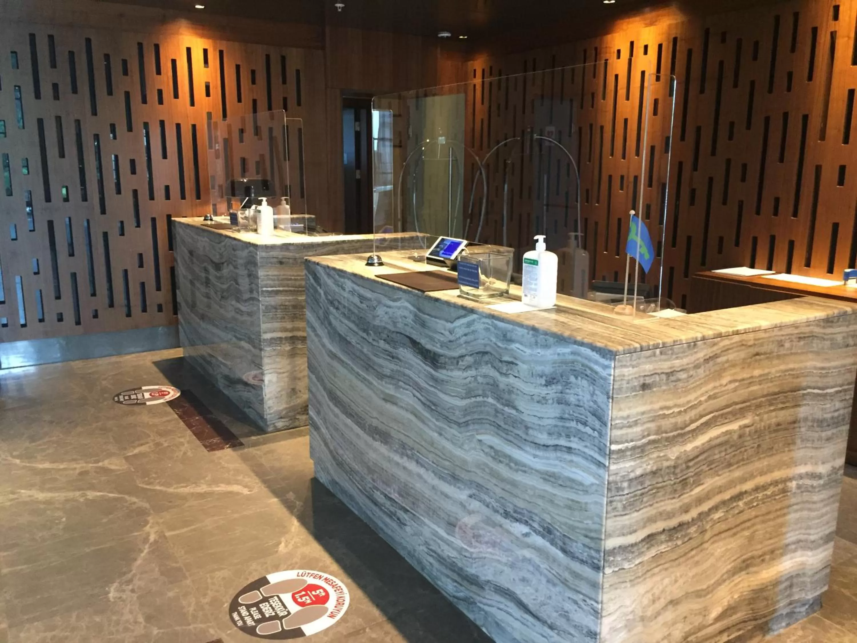 Lobby or reception in Radisson Blu Hotel & Spa, Istanbul Tuzla