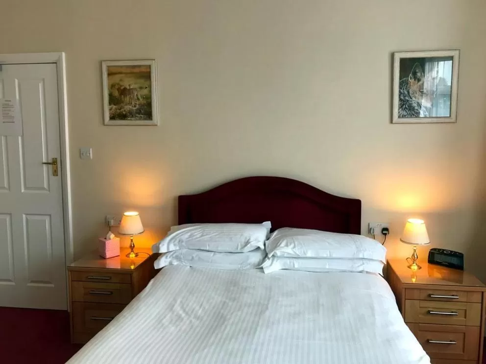 Standard Double Room - single occupancy in Merton House
