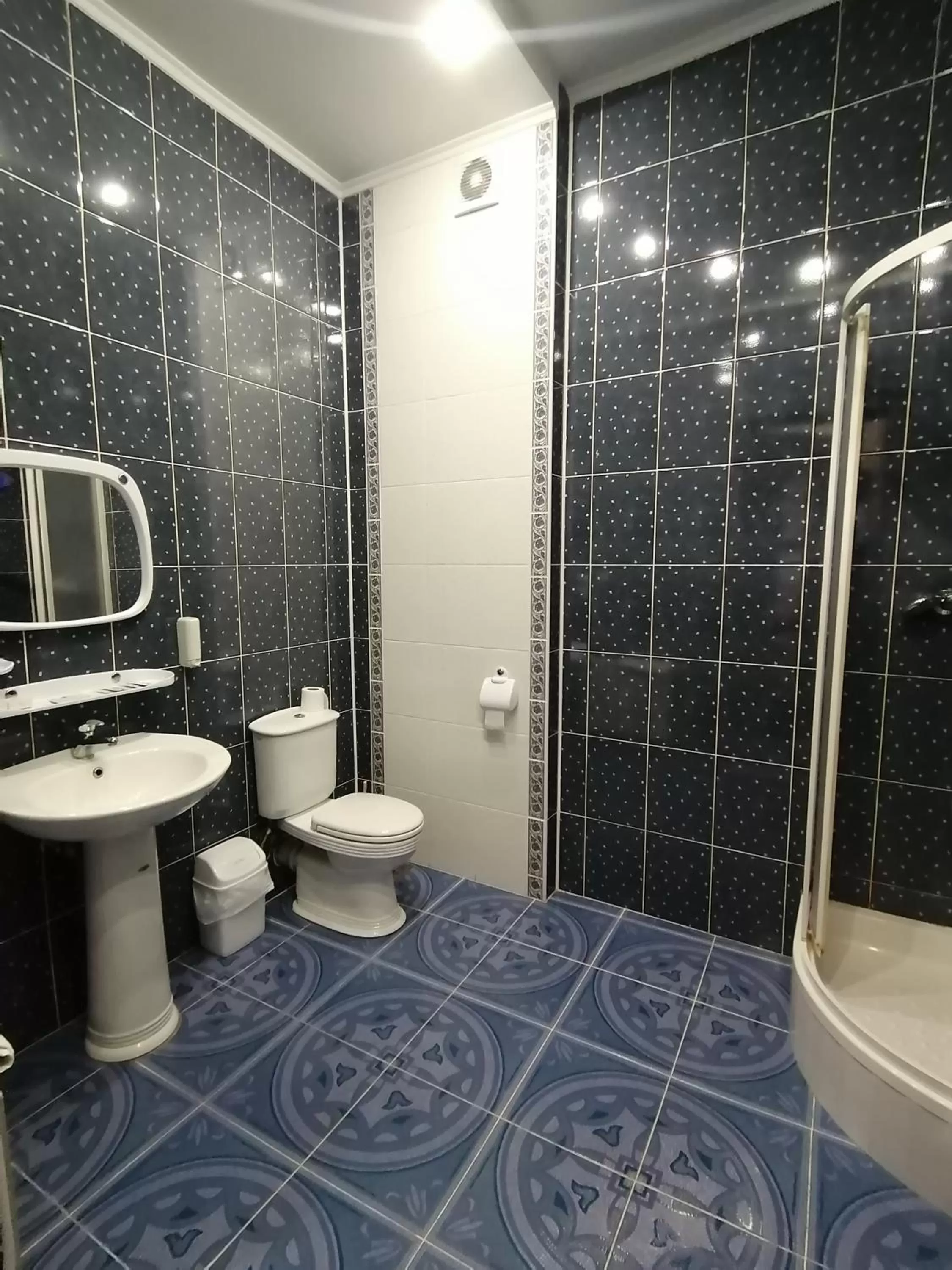 Shower, Bathroom in Hetman Hotel