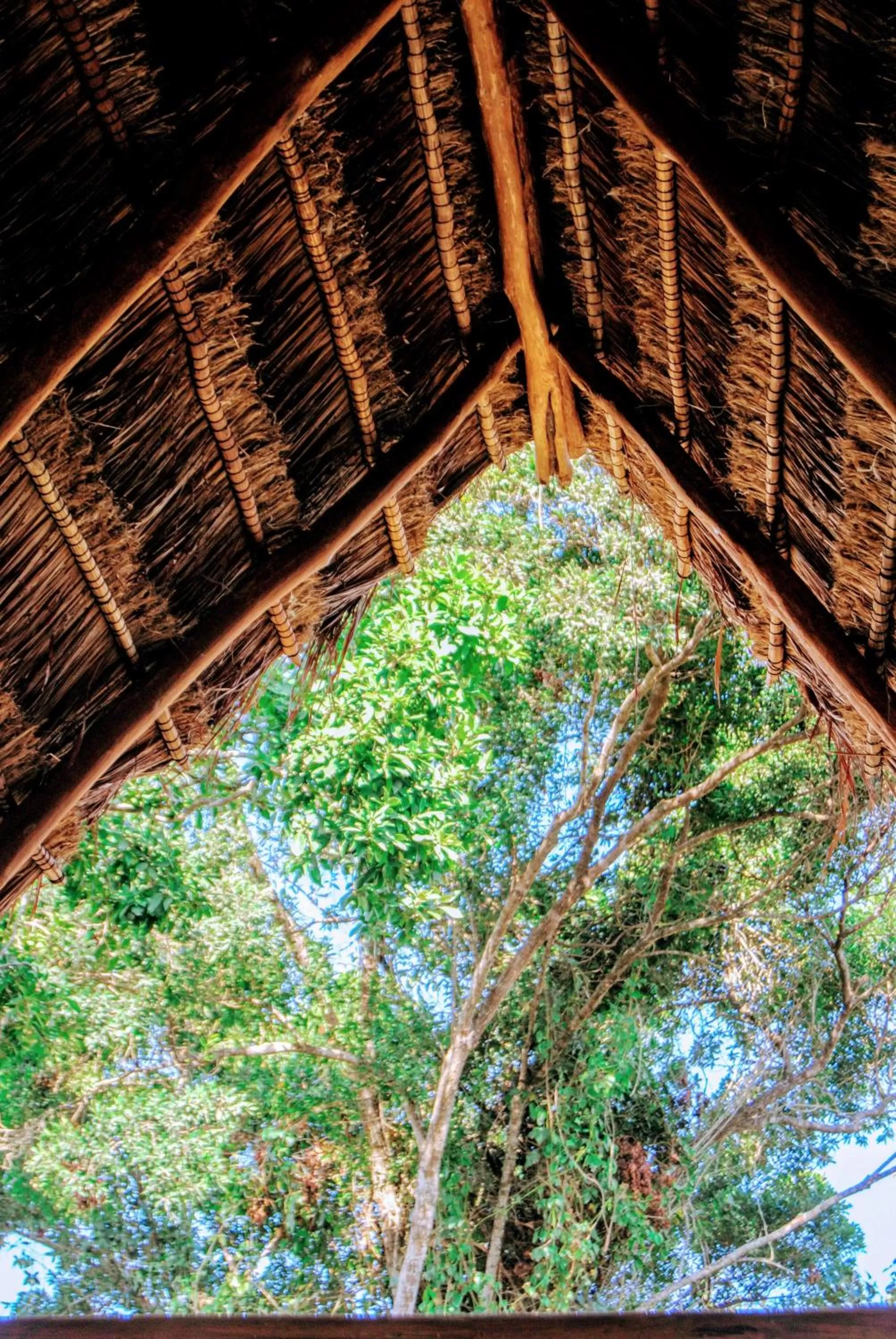 Property building in Hotel Boutique TerraNova