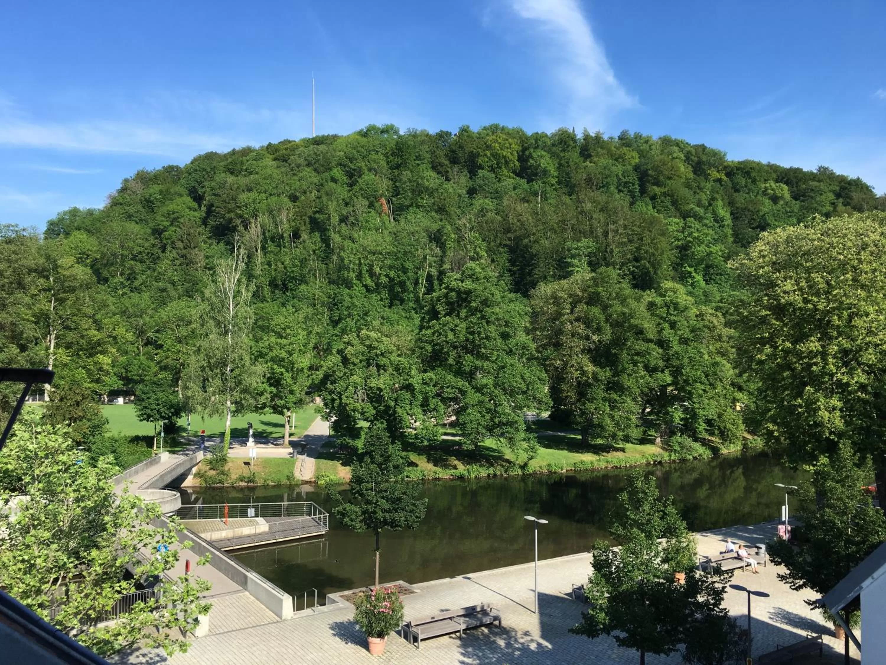Garden view in Hotel Adler