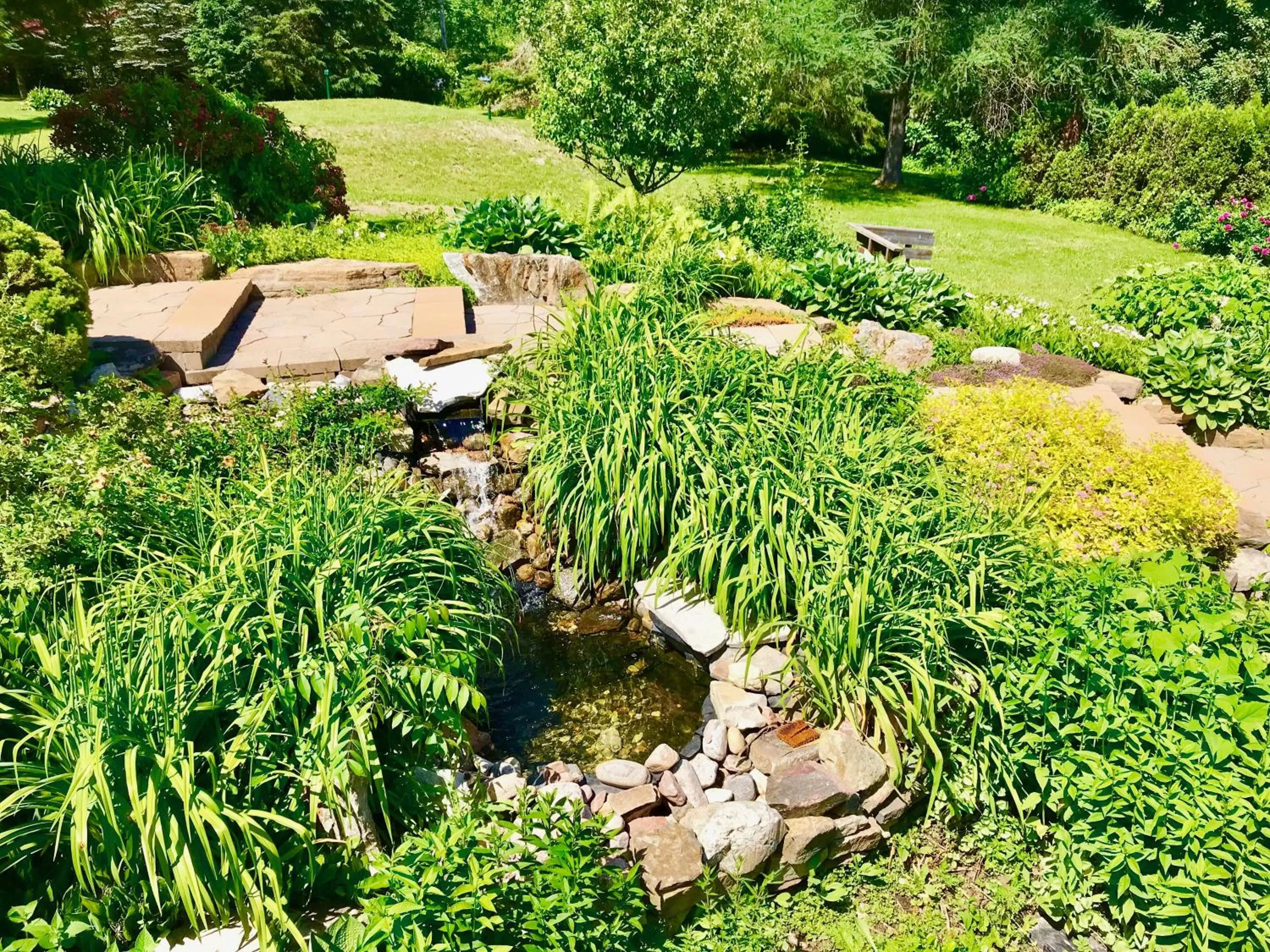Patio, Bird's-eye View in Auberge Tom B&B