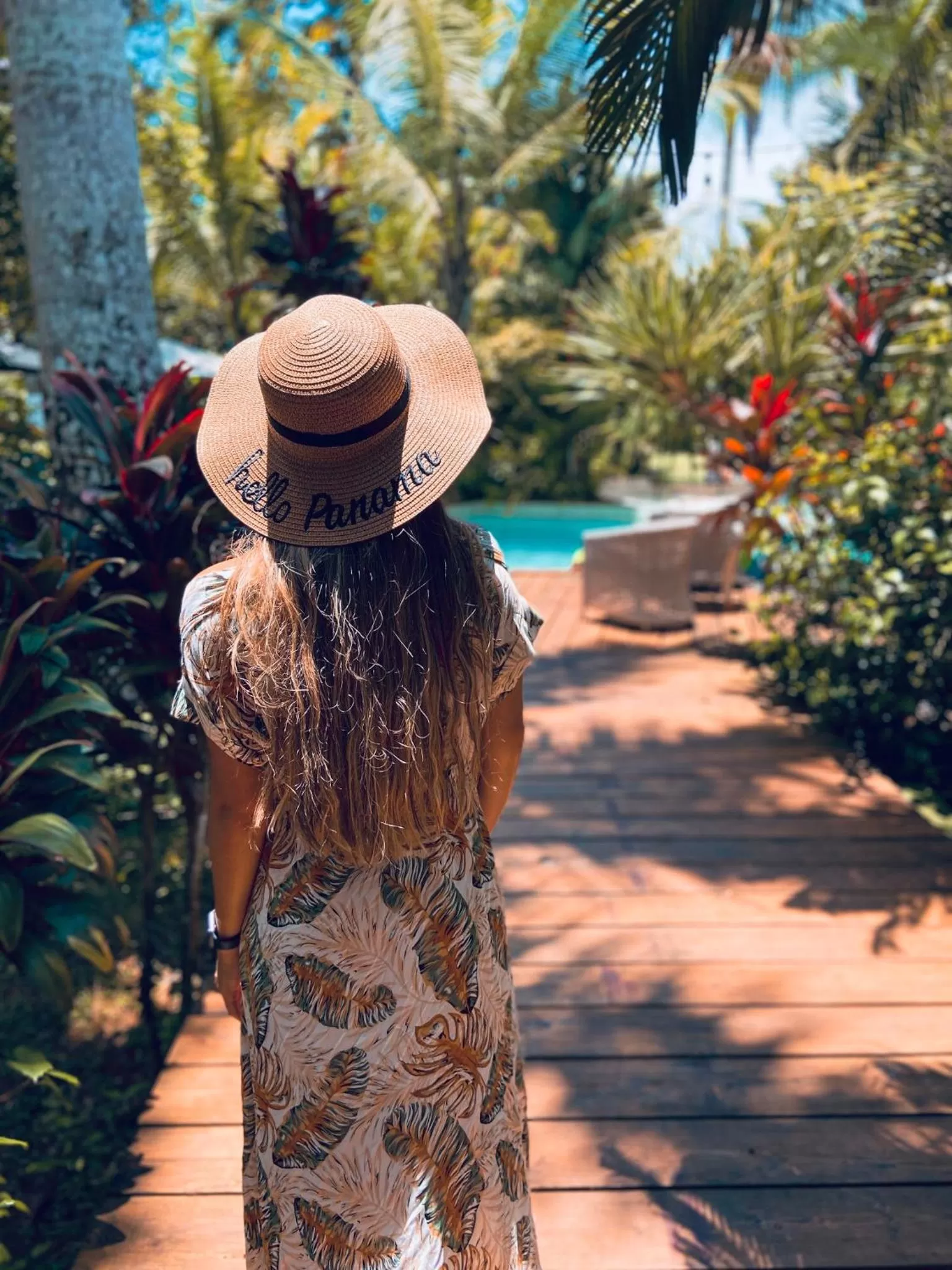 Natural landscape in Monkey Lodge Panama