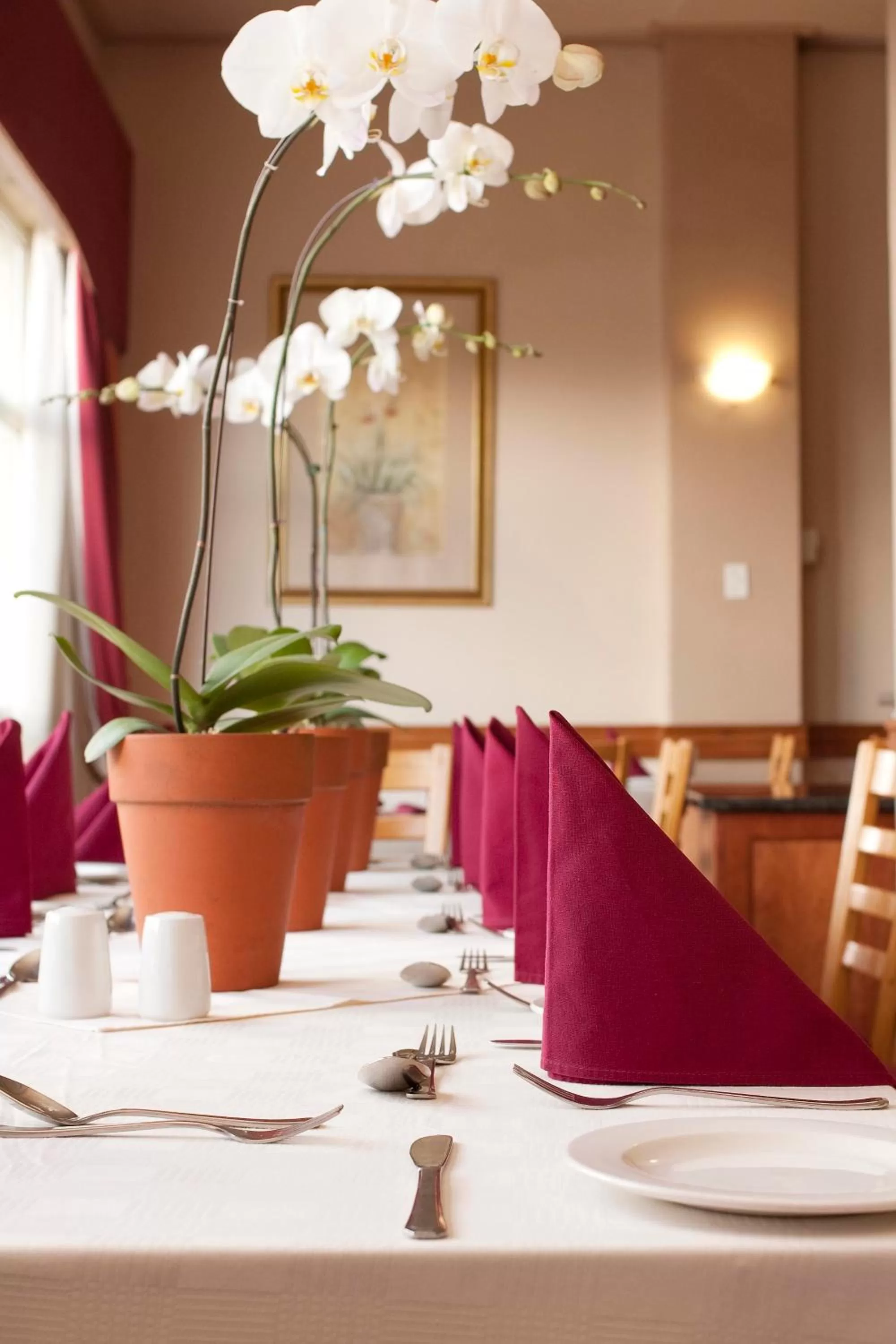 Restaurant/places to eat in Apollo Hotel