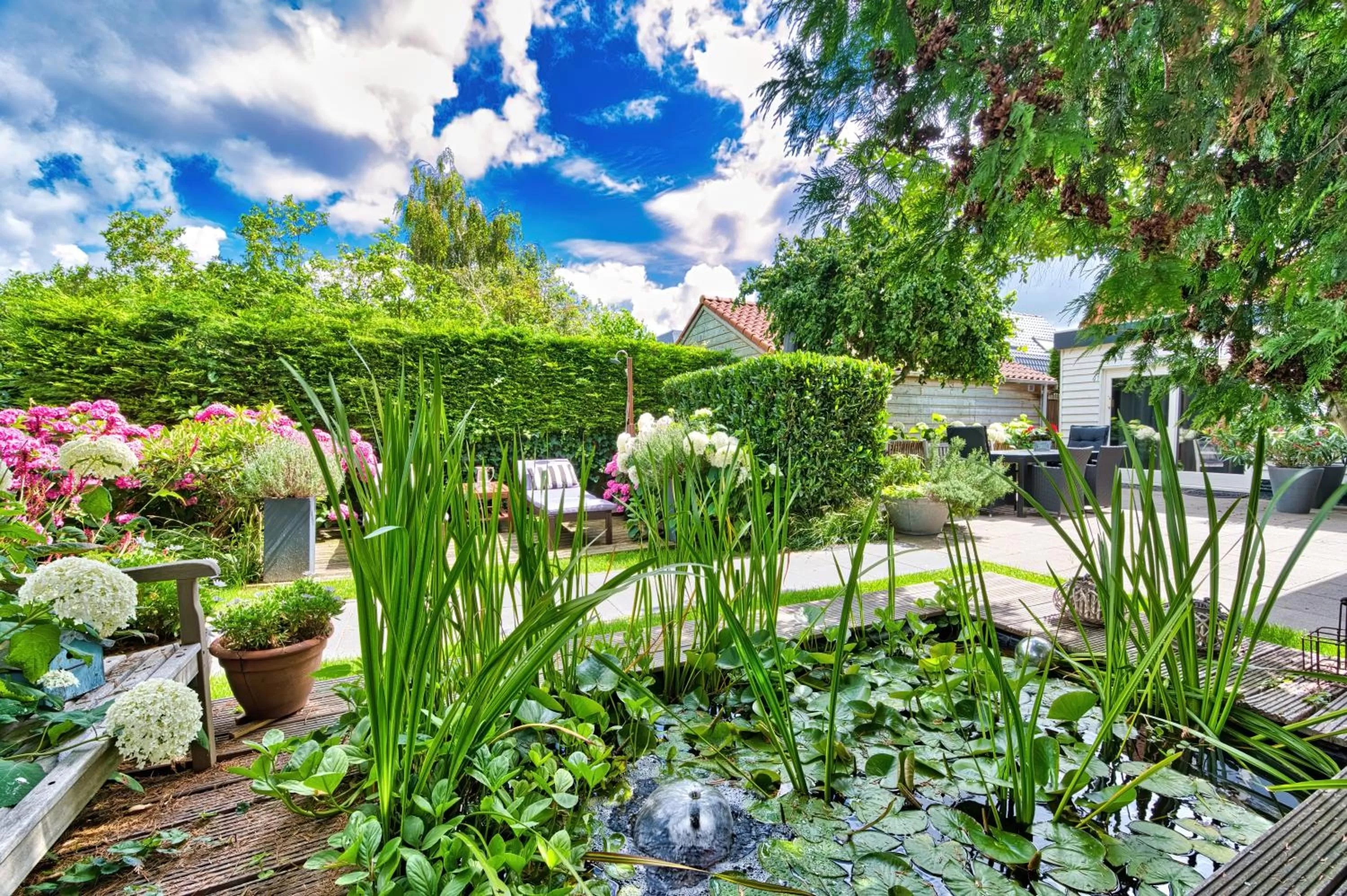 Garden view in B&B Hoofddorp
