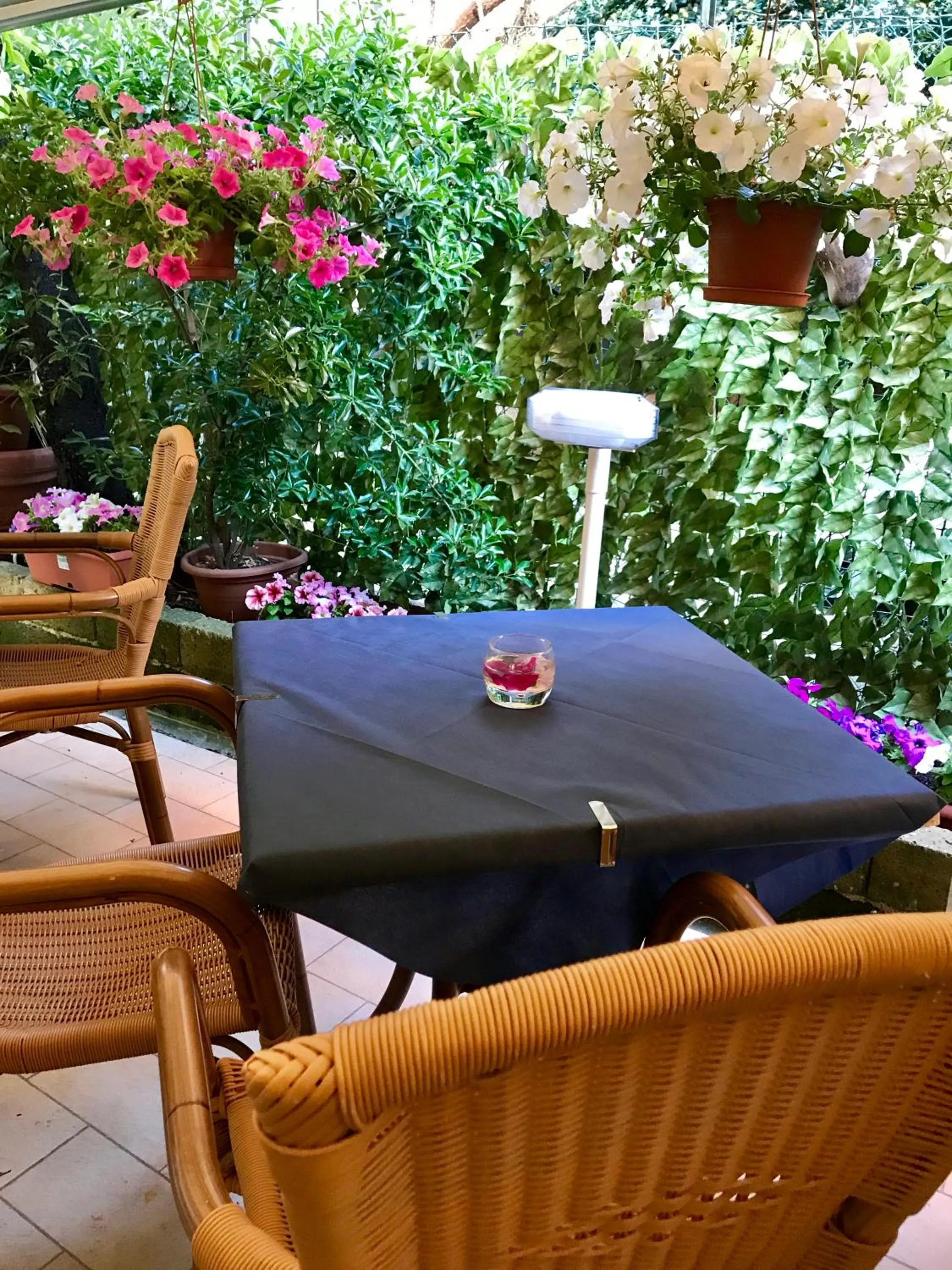 Garden in Hotel St Pierre