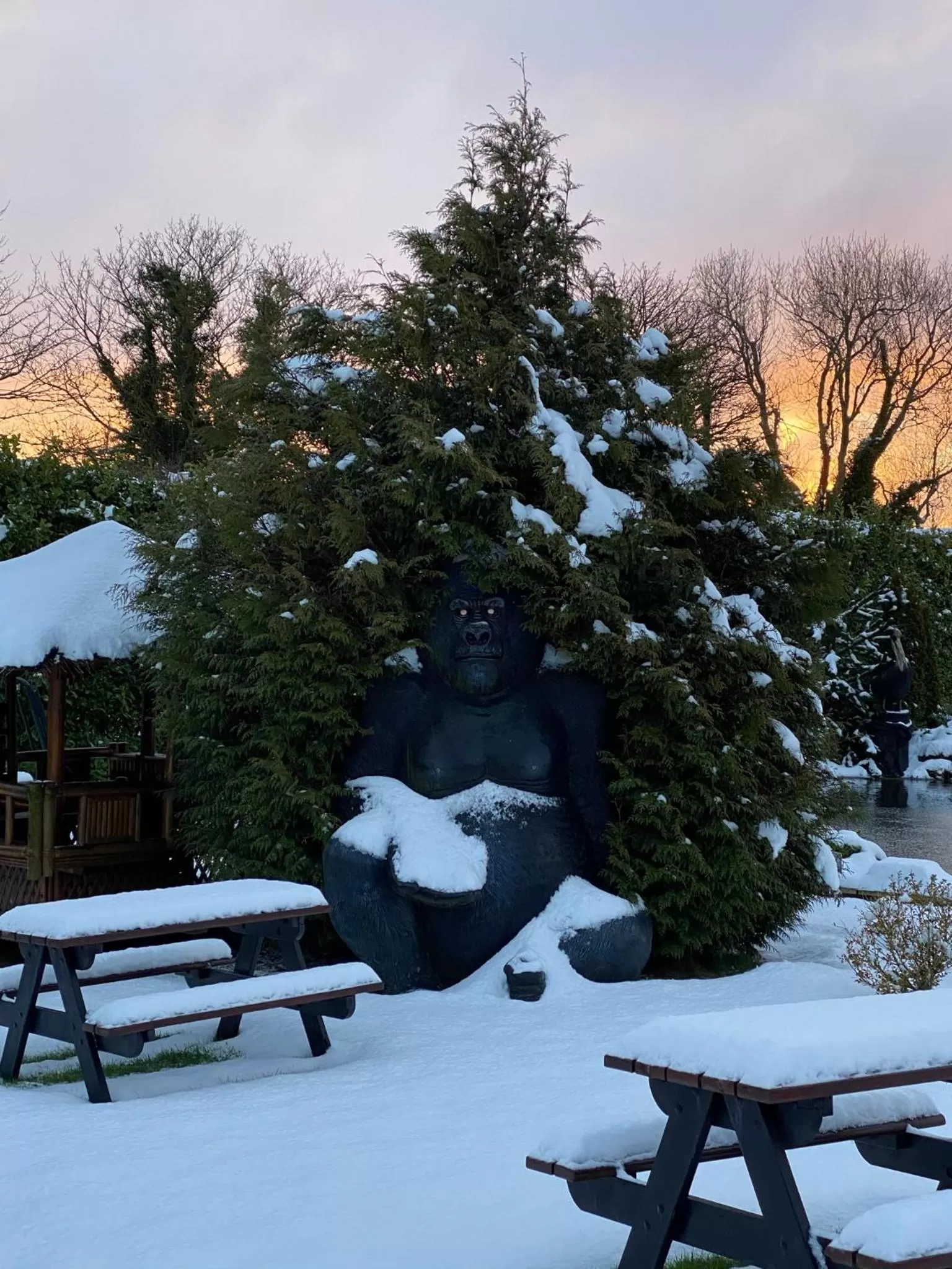 Garden in The Hilltop Haven