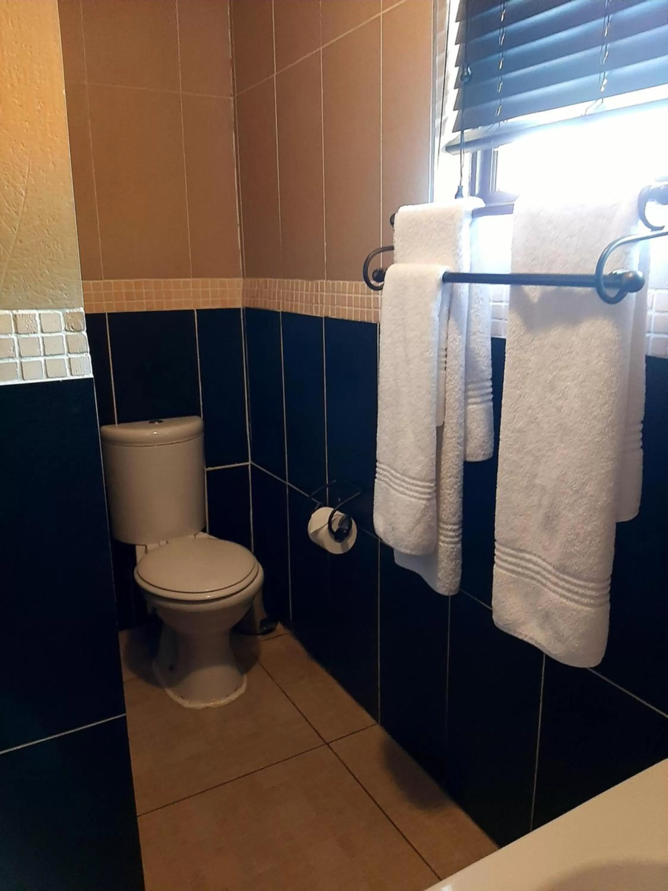 Bathroom in Eco Park Lodge