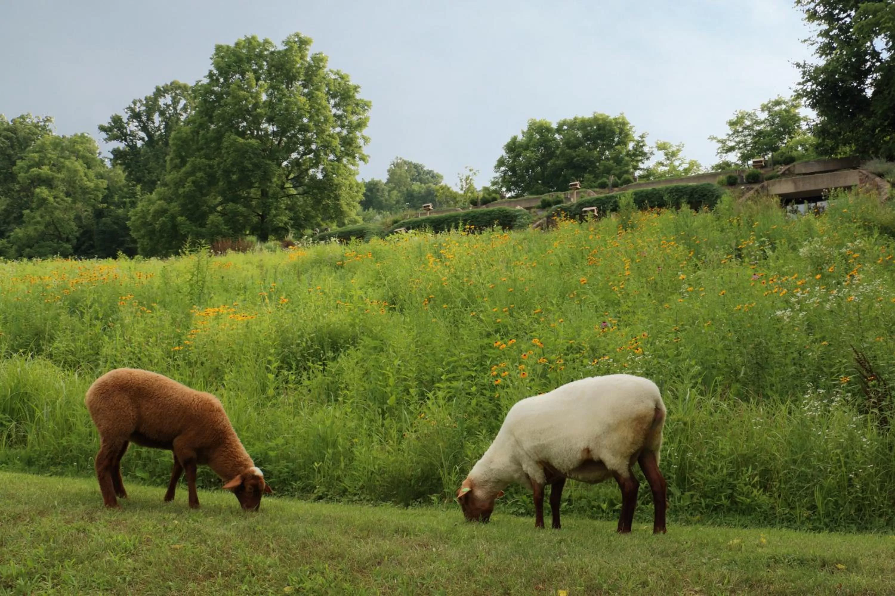 Day in The Inn at Honey Run Millersburg