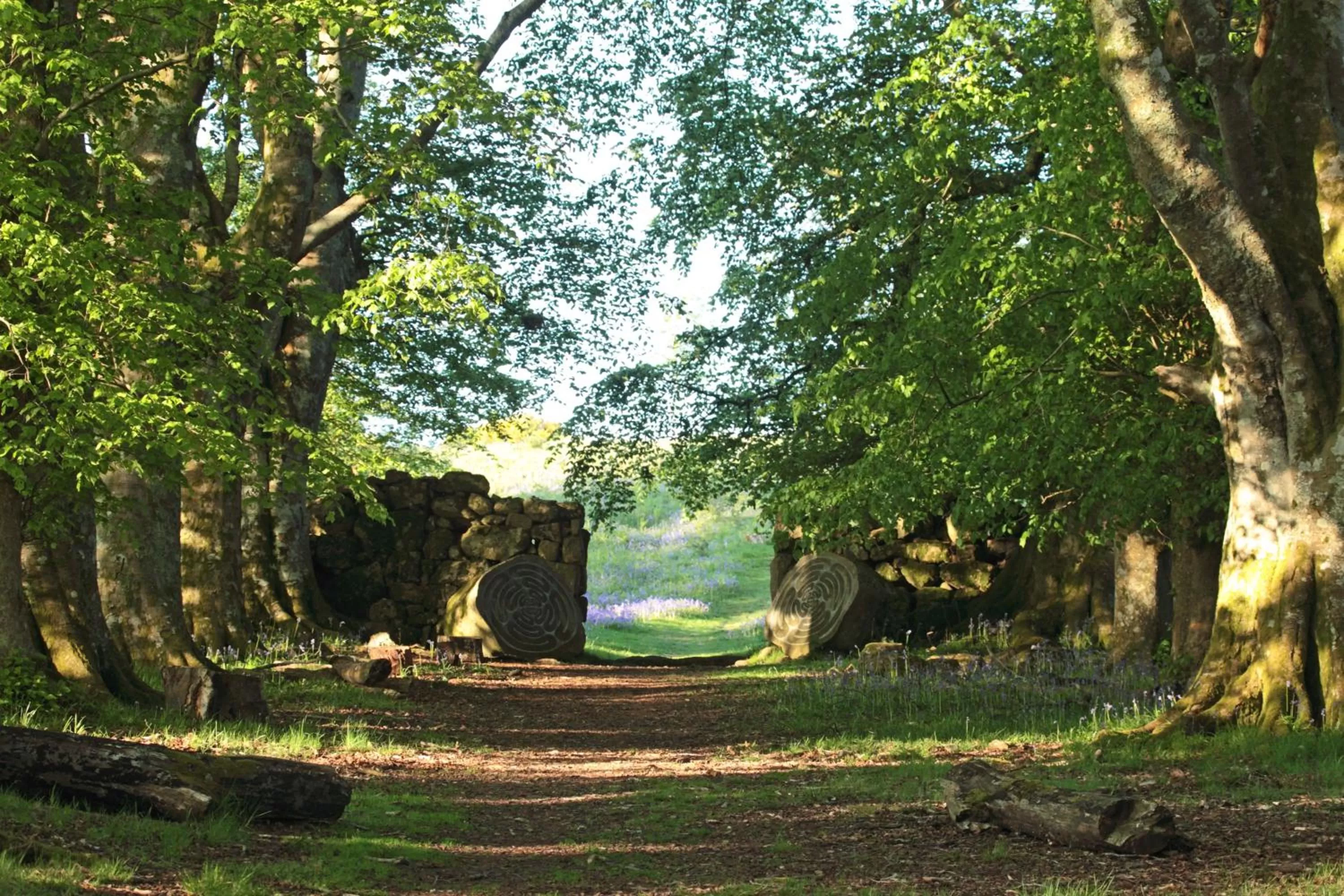 Natural landscape, Garden in Lovaton Farmhouse