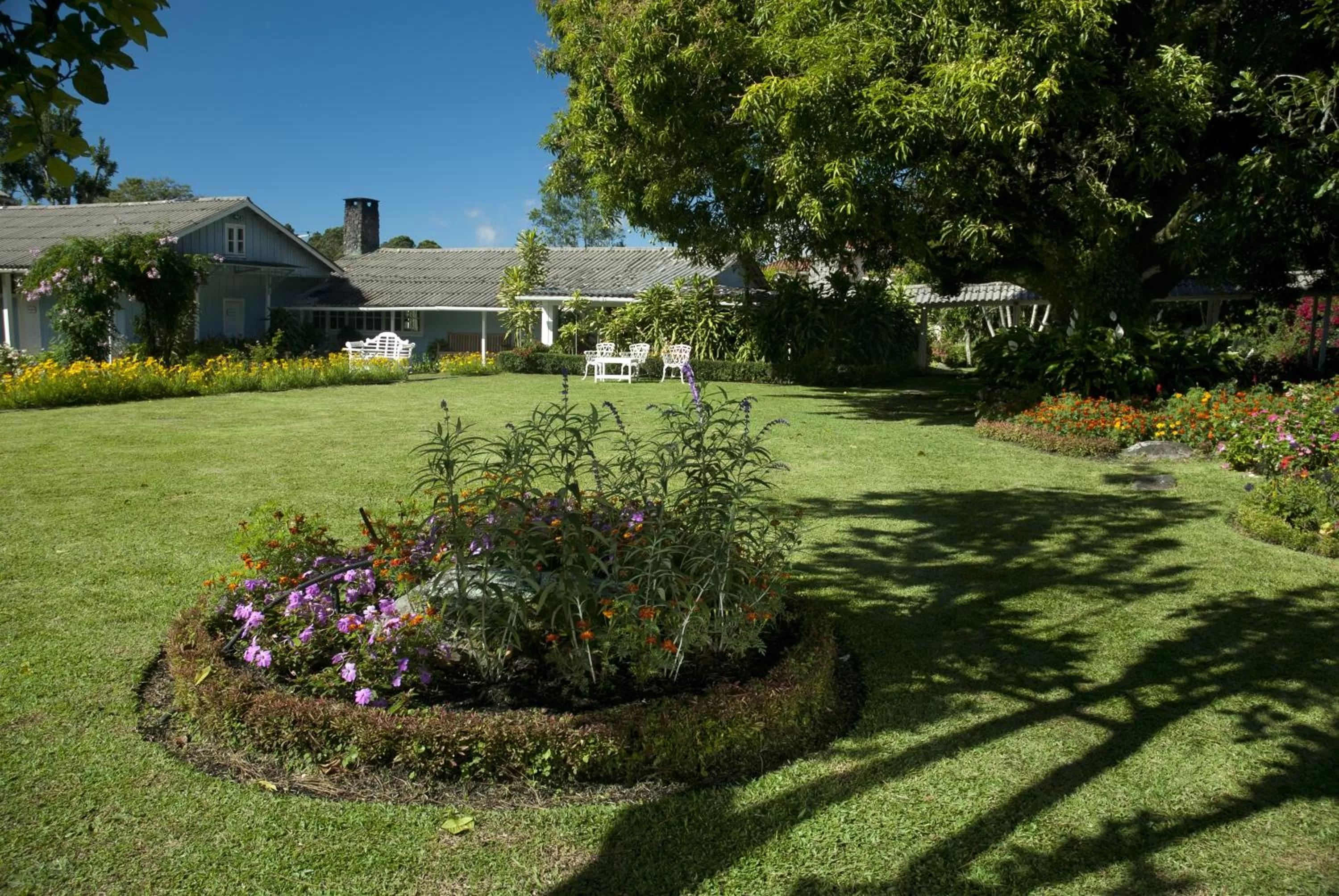 Patio in Hotel Panamonte