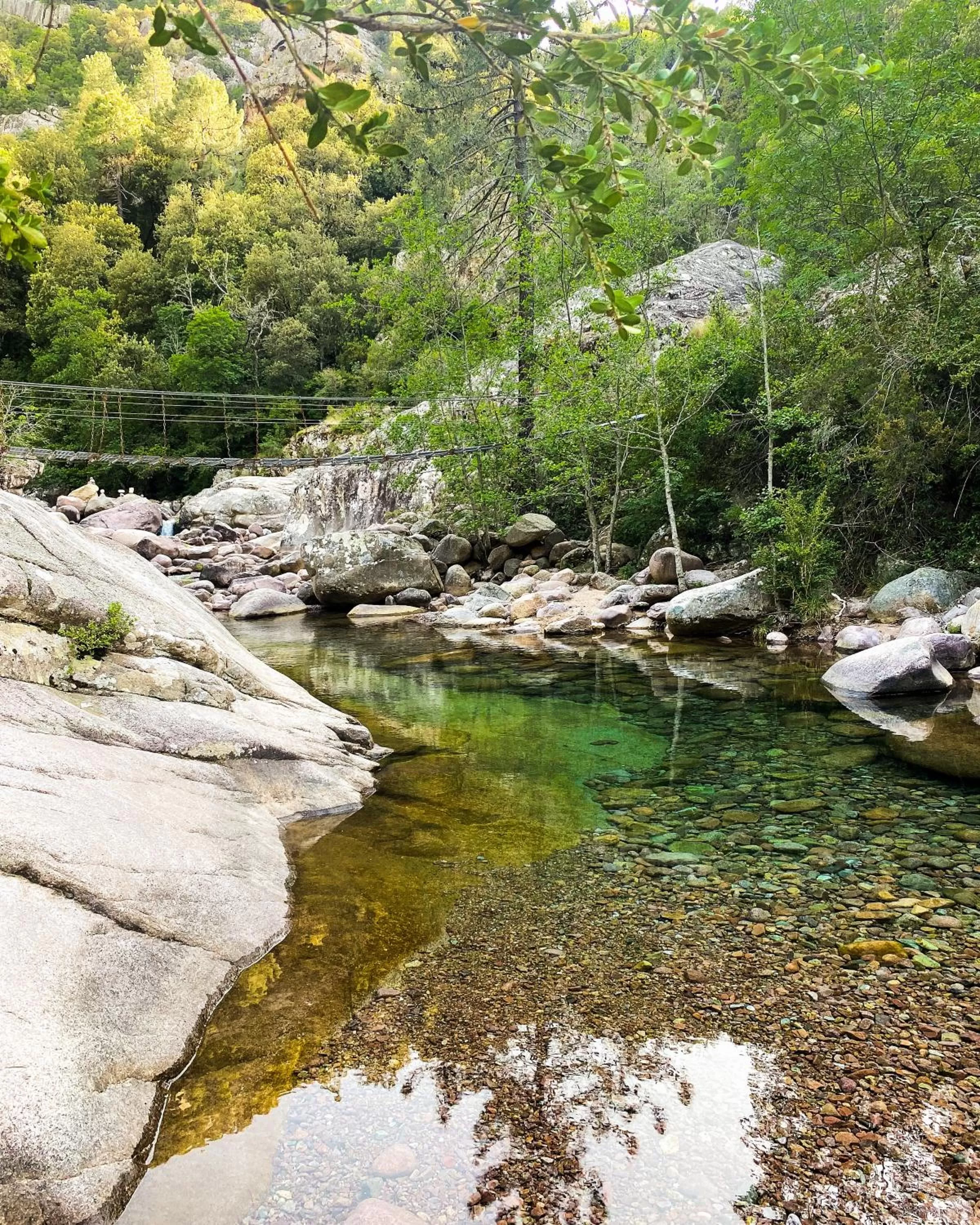 Auberge De La Foret Bonifatu