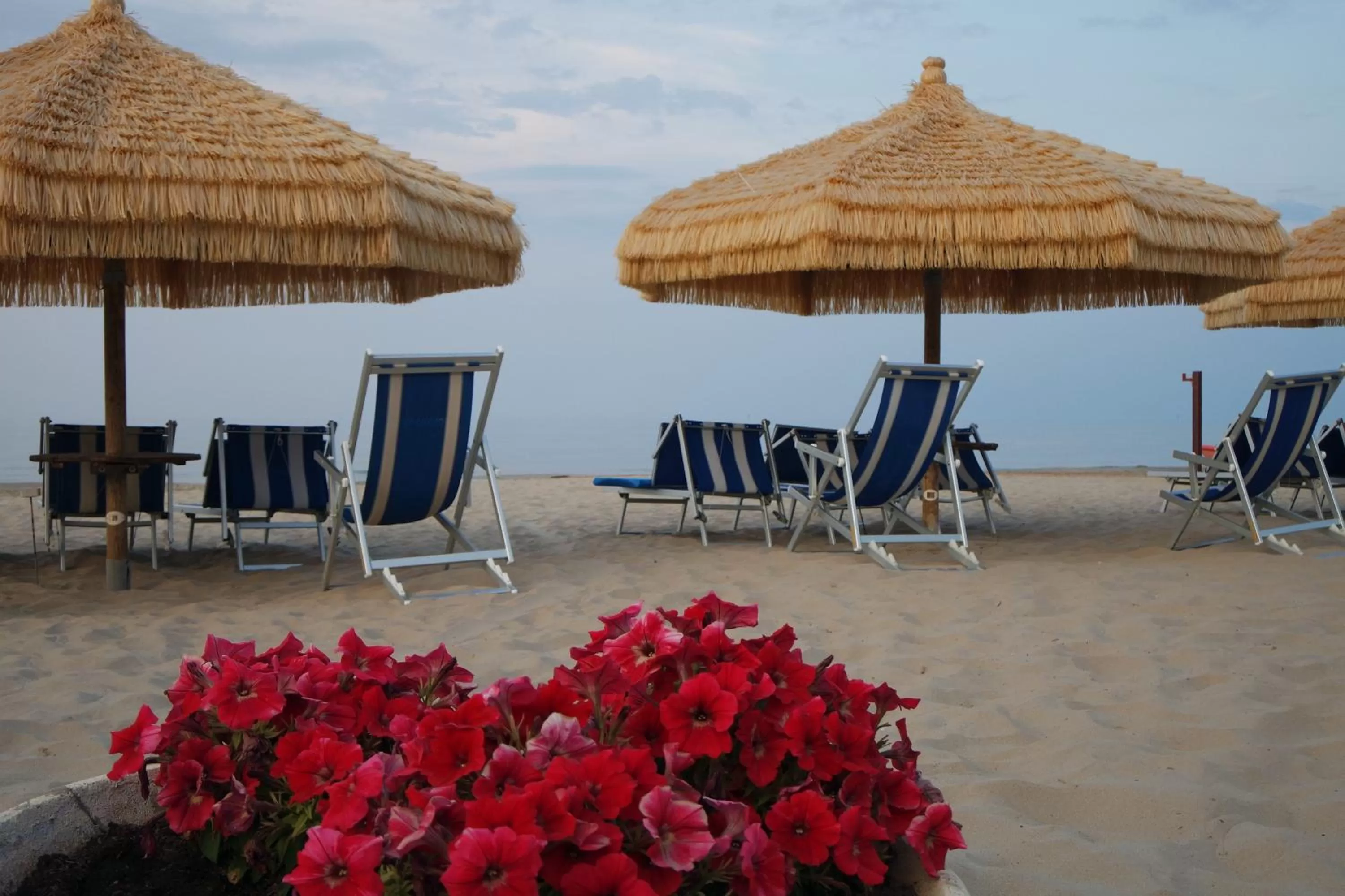 Beach in Hotel Cerrano