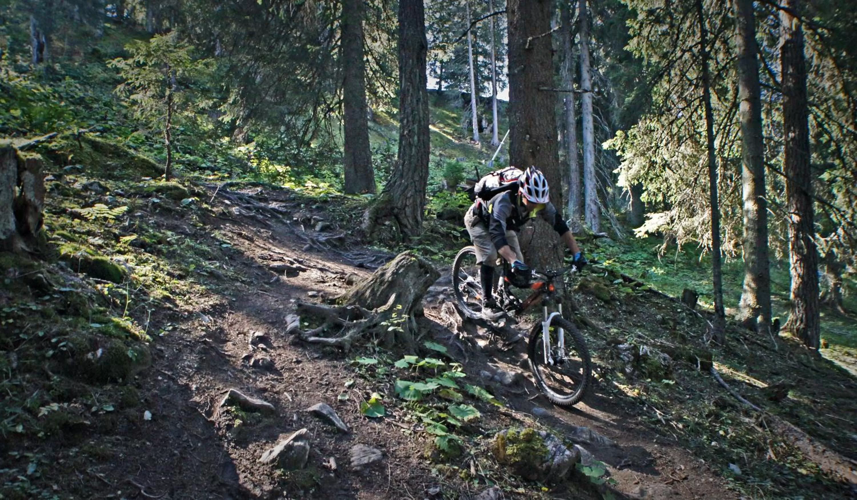 Cycling in Hotel Wynegg