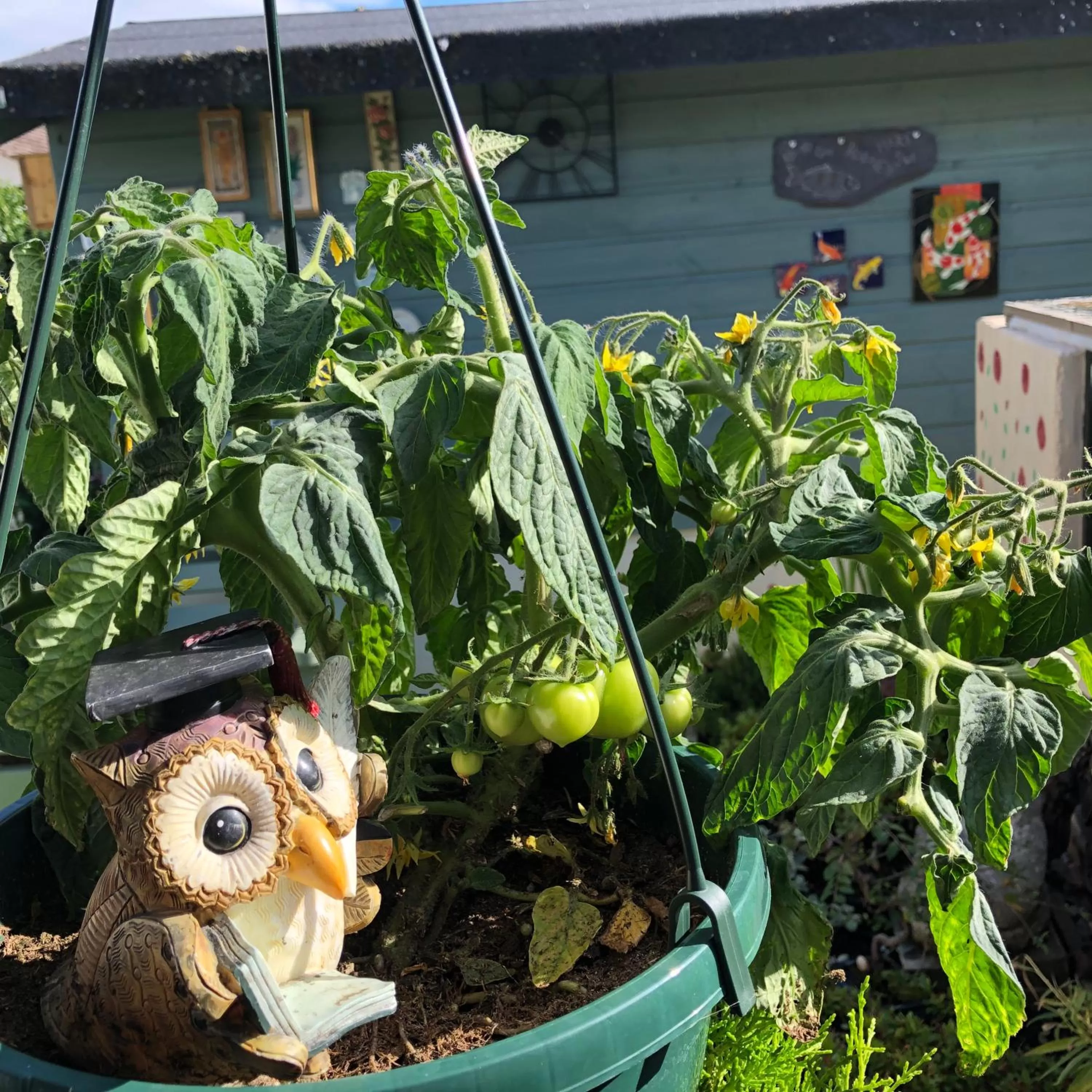 Garden view in Owly 'Ouse