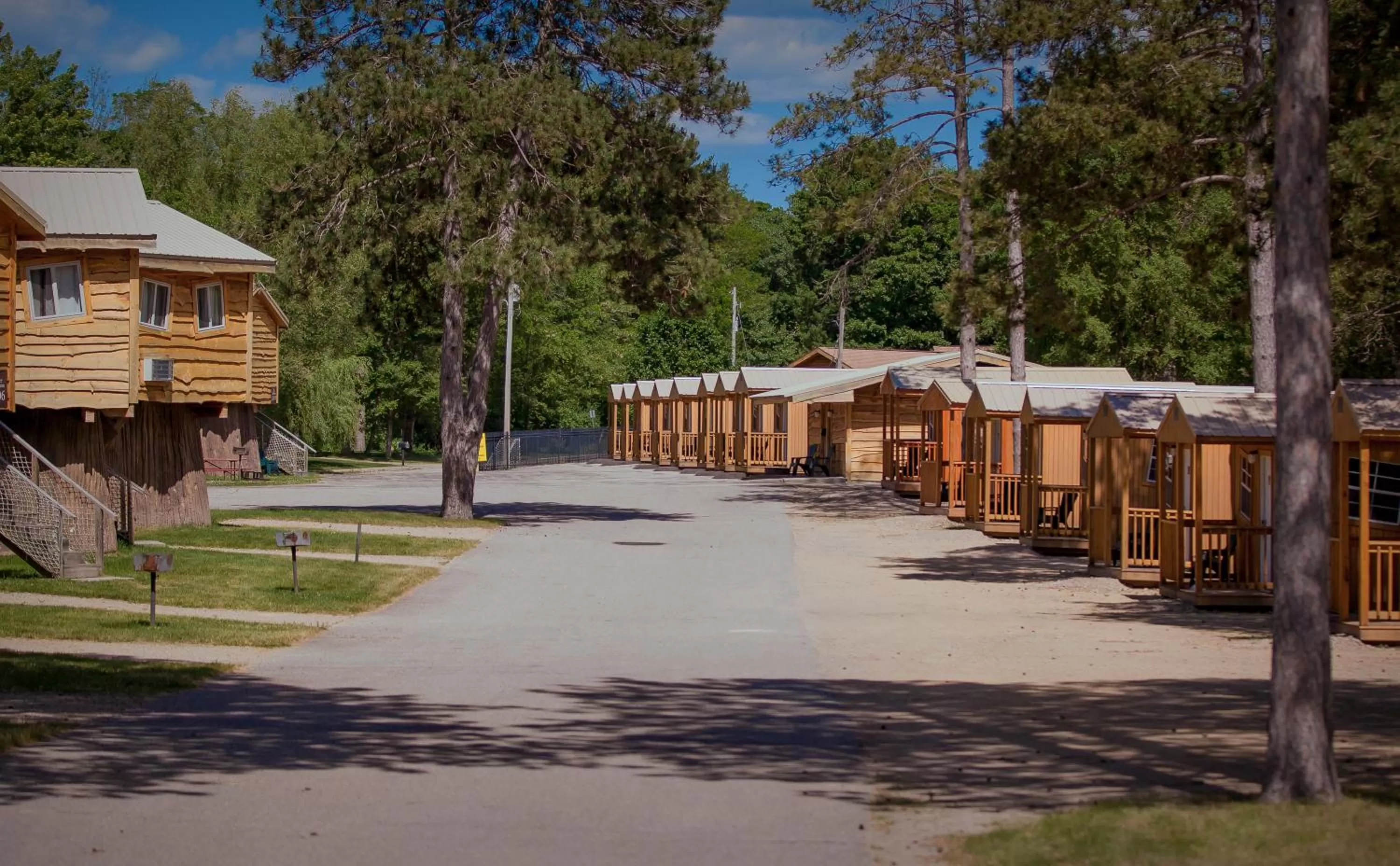 Street view in Natura Treescape Resort