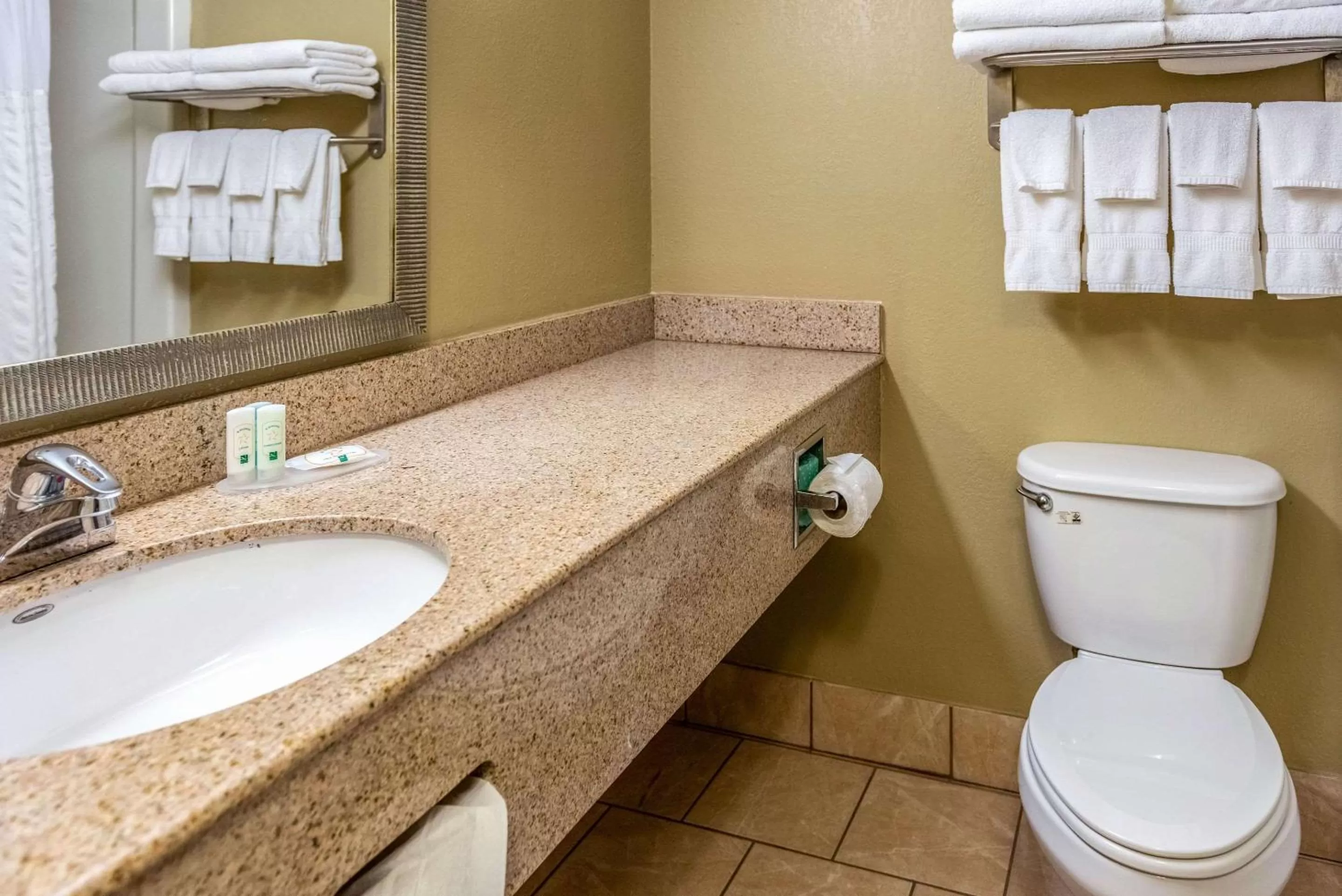 Bathroom in Quality Inn & Suites