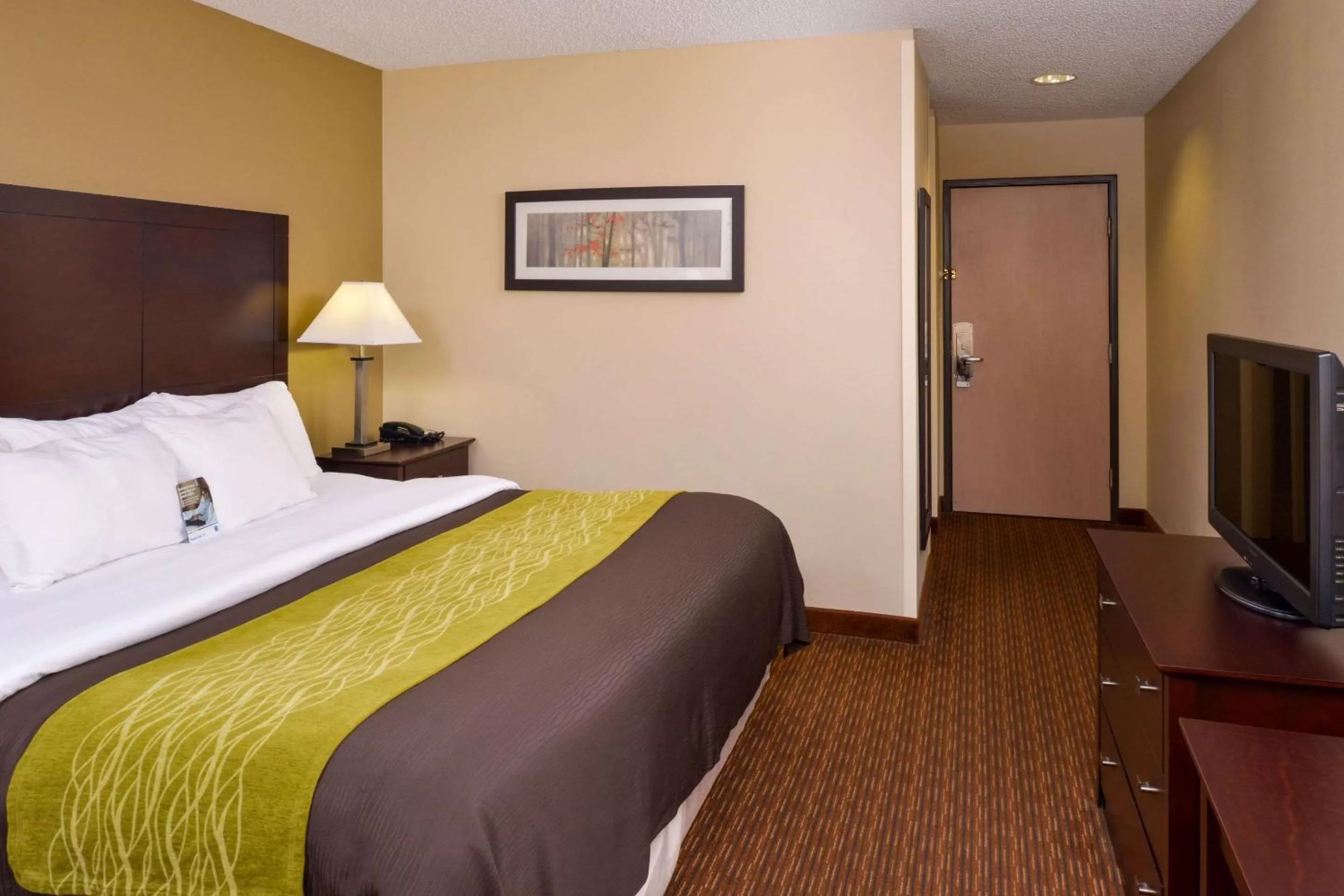 Photo of the whole room, Bed in Holiday Inn Express & Suites Joplin Southeast by IHG