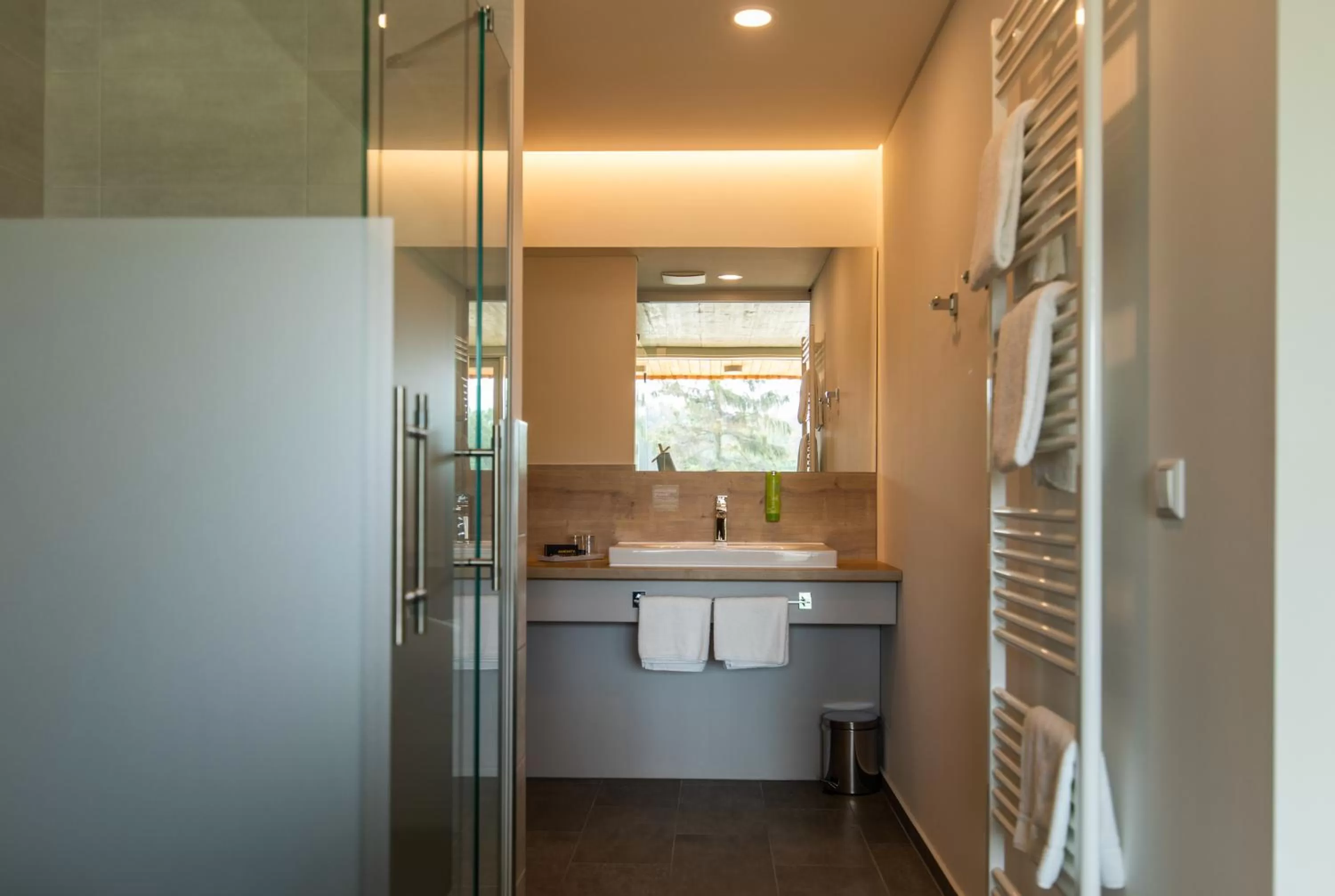 Bathroom in Waldstrand-Hotel Großschönau