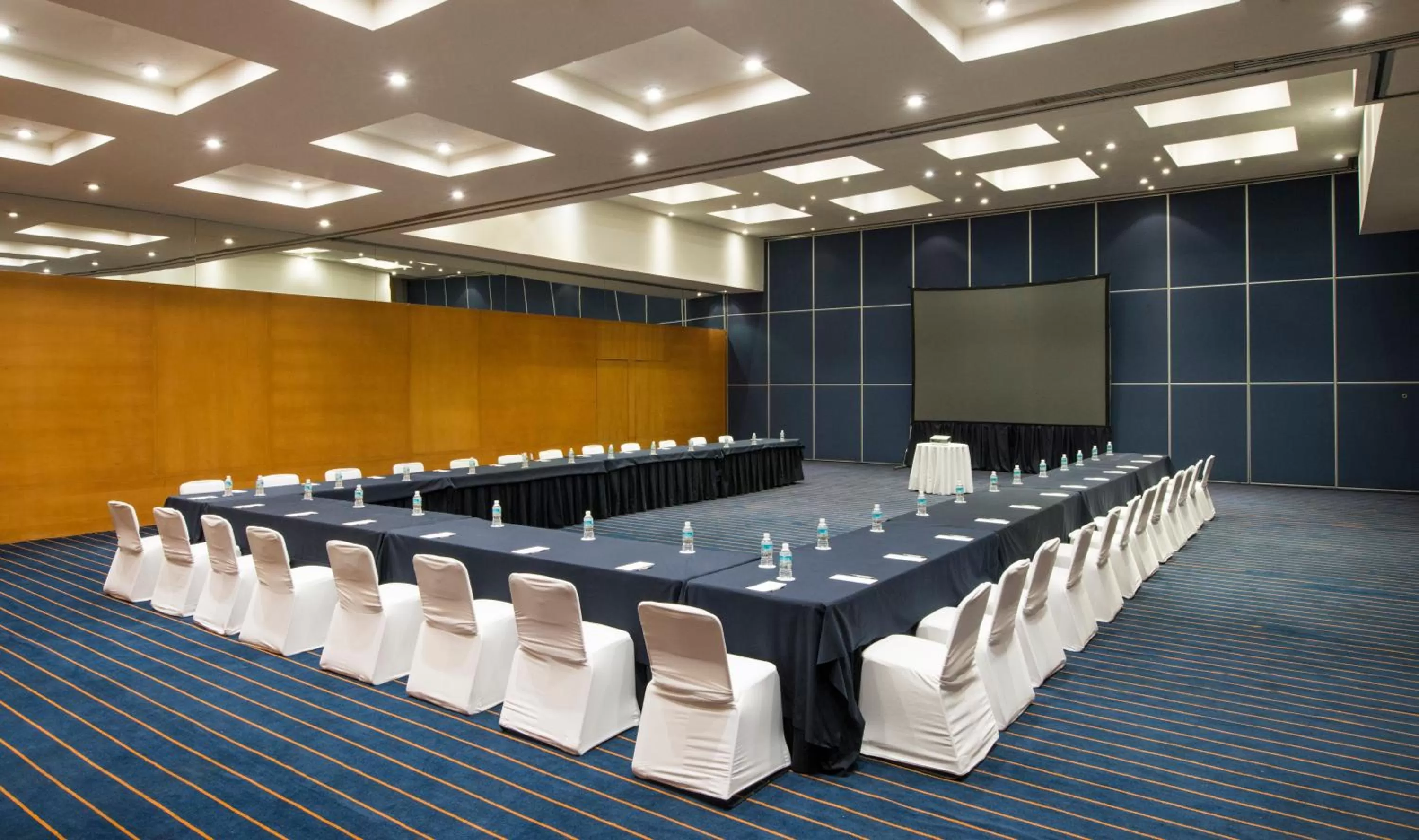 Meeting/conference room in Real Inn Torreon