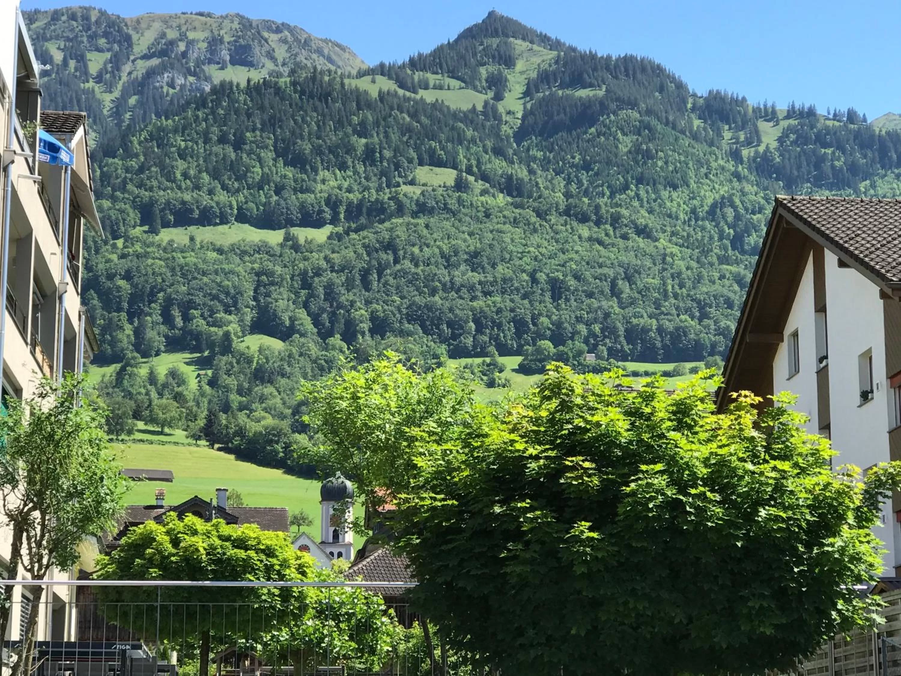 Mountain view in Verena's Boutique Villa au lac