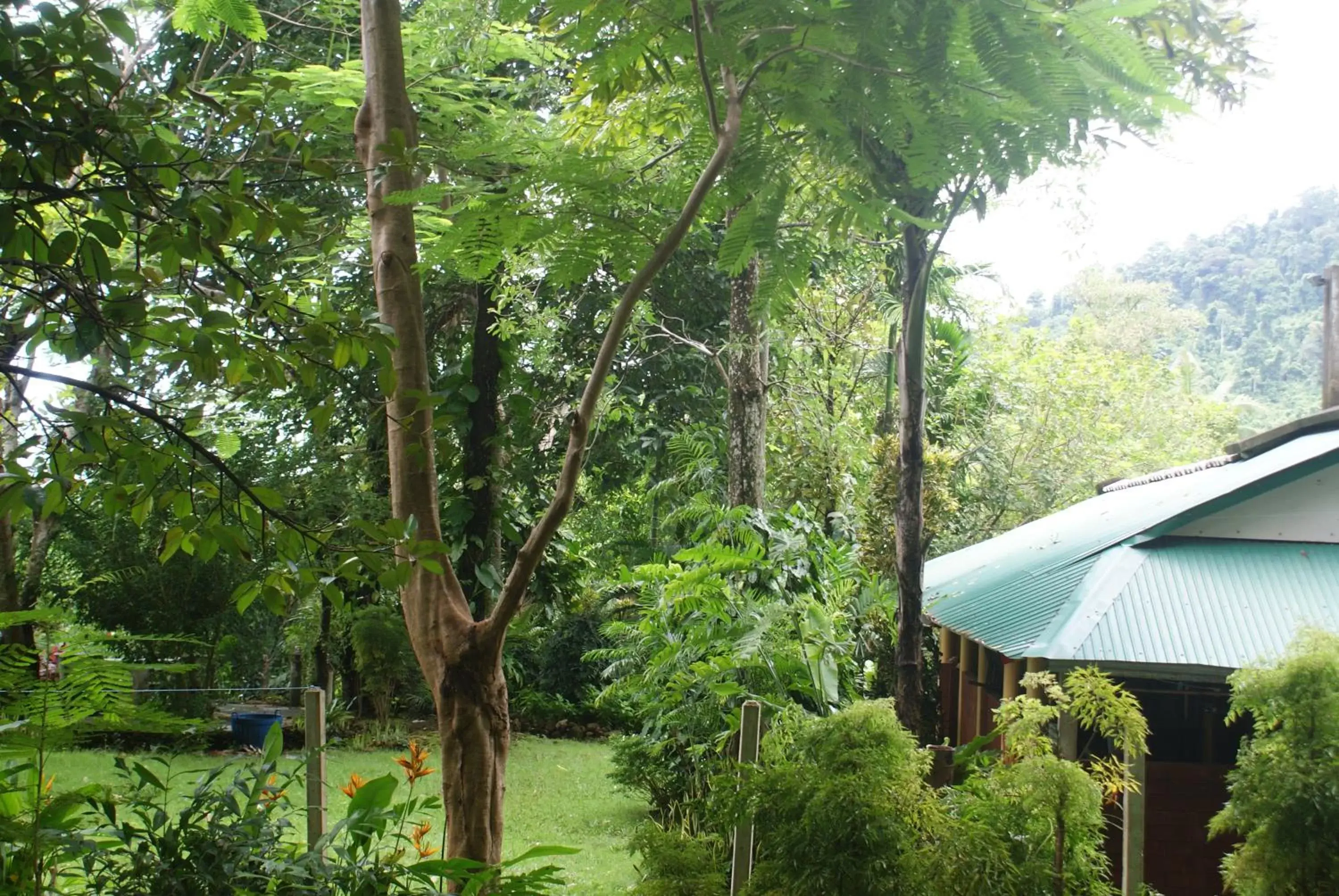 One-Bedroom Bungalow in Rock Inn Bailan One-Bedroom Bungalow in Rock Inn Bailan