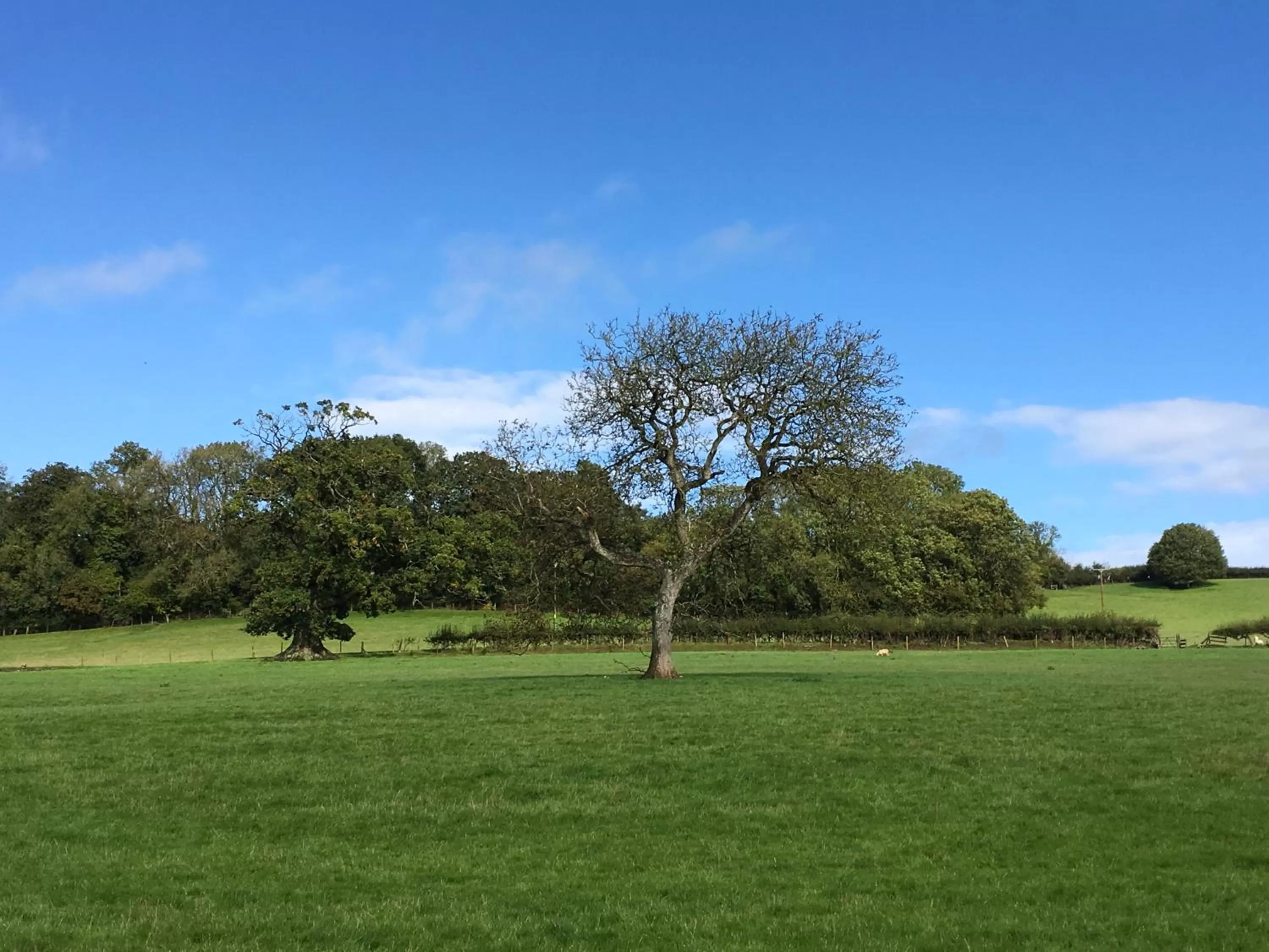 View (from property/room) in Beryl Country House